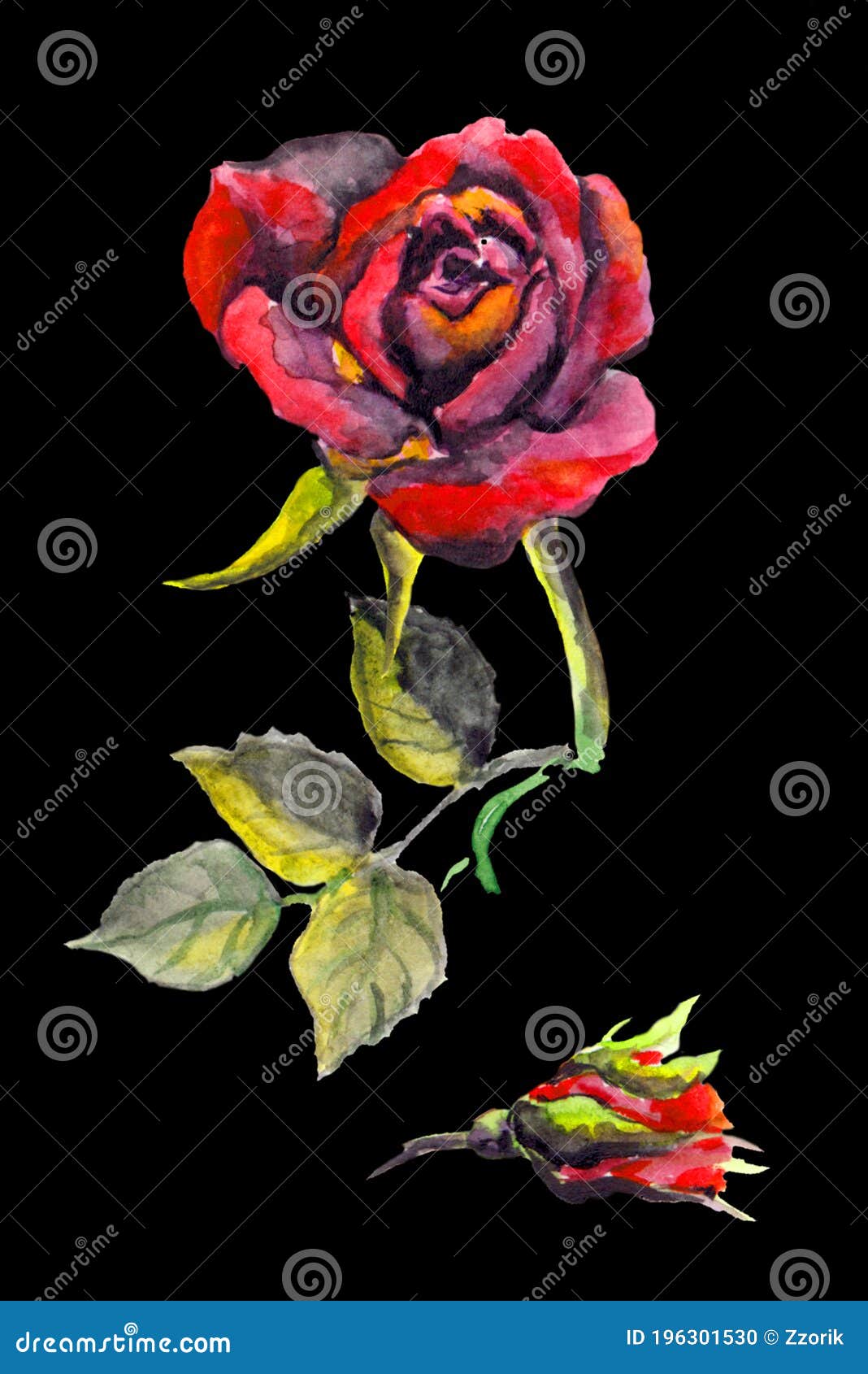 2200 Bloody Rose Stock Photos Pictures  RoyaltyFree Images  iStock   Bloody flower Vampire Roses