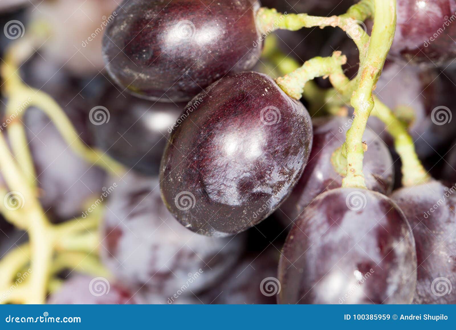 grape water grape water