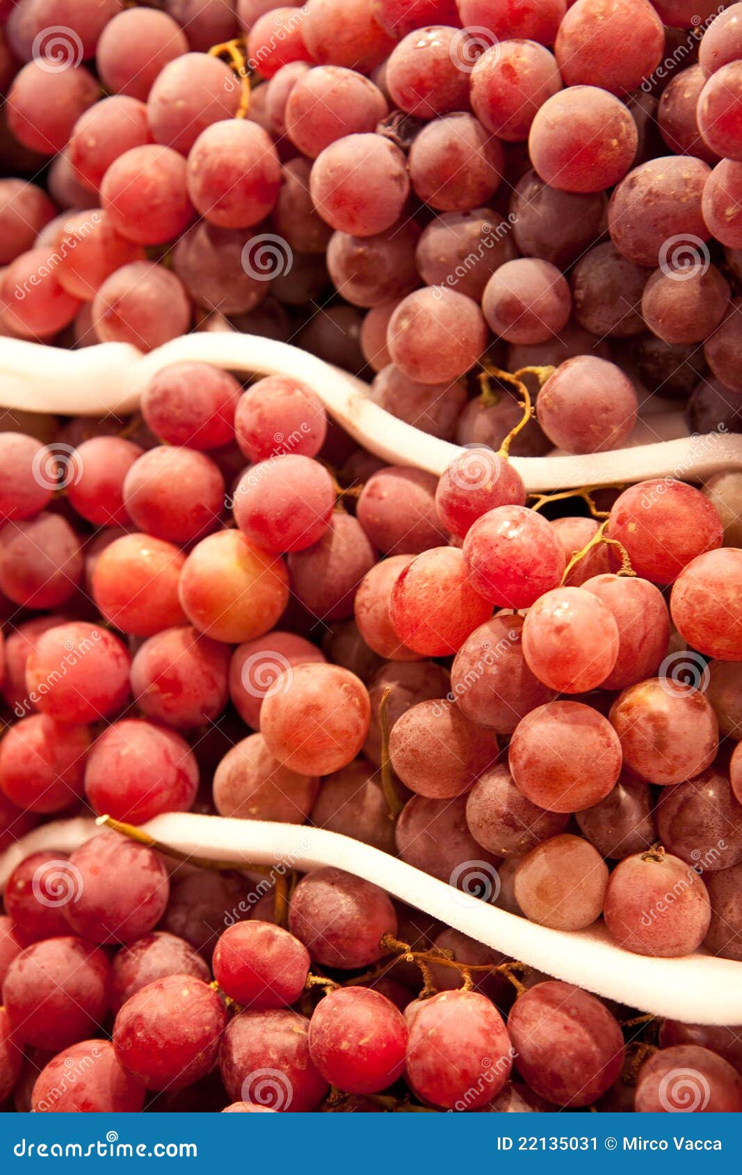 Red grapes stock image. Image of healthy, fresh, grapes 22135031