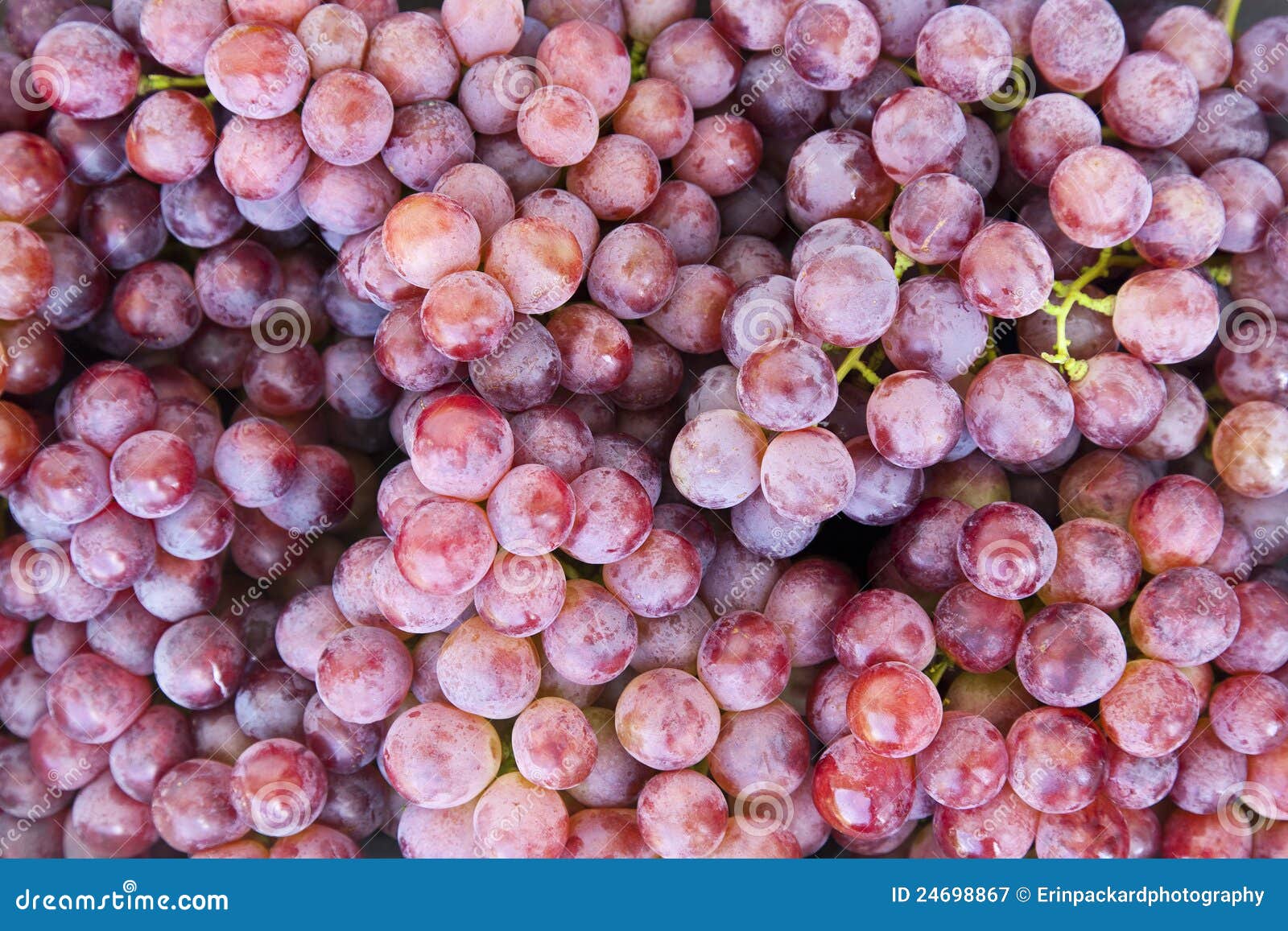 Red Grapes stock image. Image of bunch, grape, backgrounds 24698867
