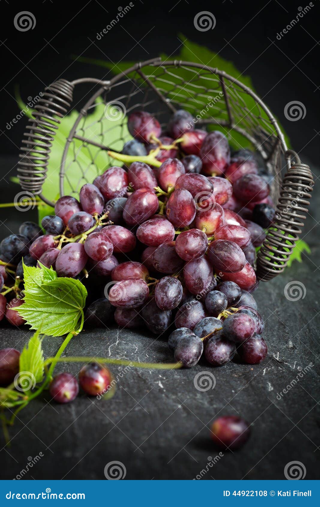 Red grapes stock photo. Image of garden, grape, eating - 44922108