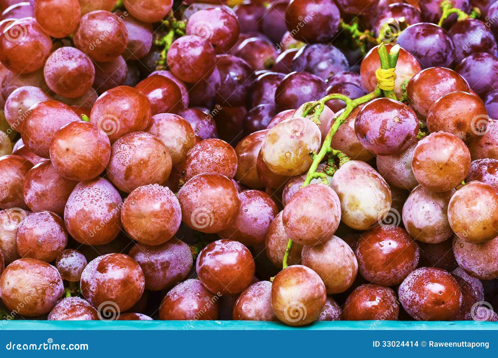 Red grapes stock photo. Image of bunch, purity, food 33024414