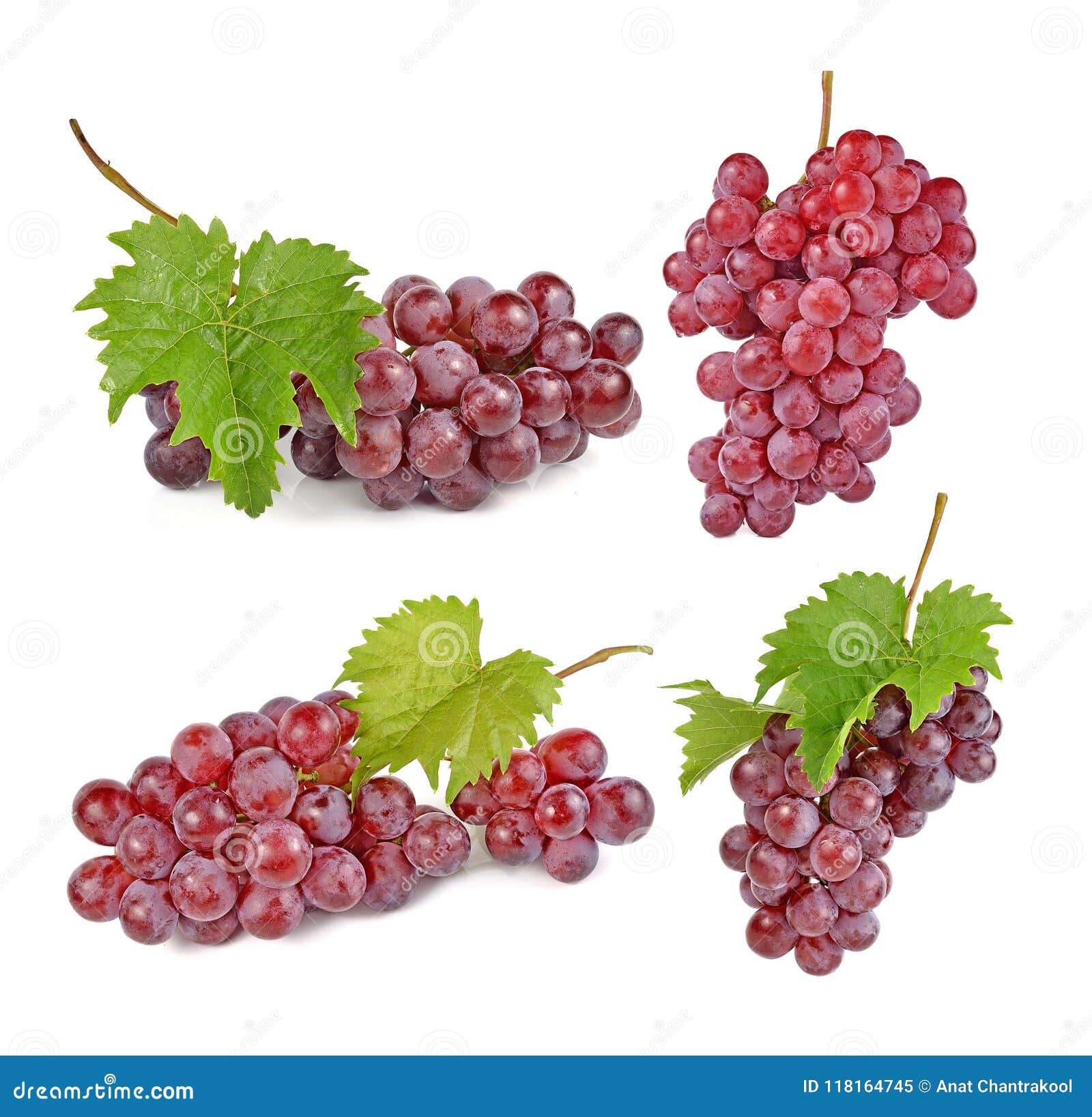 Red Grapes Isolated on White Background Stock Image Image of white