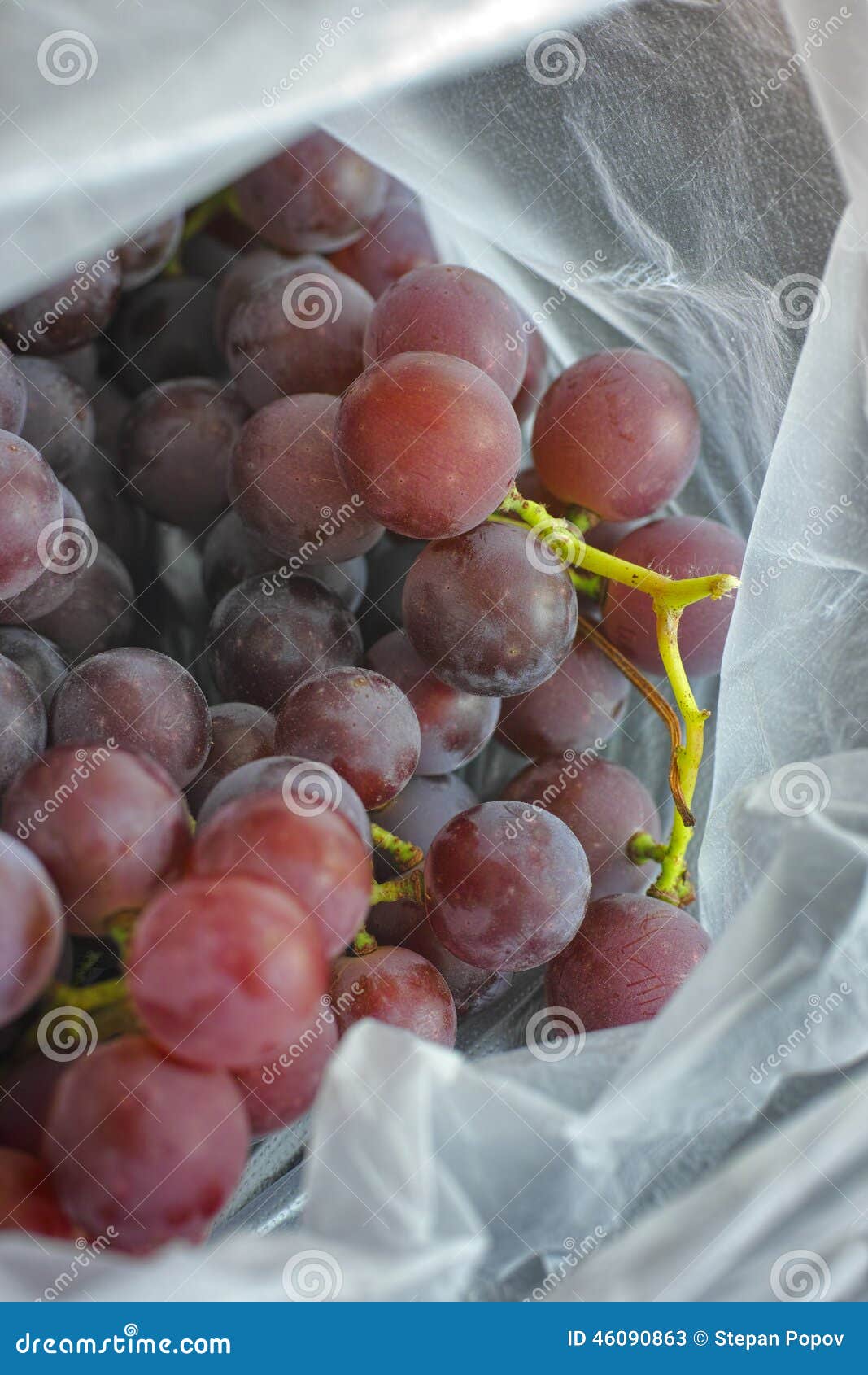 Woman Holding Fruits in a Plastic Bag · Free Stock Photo
