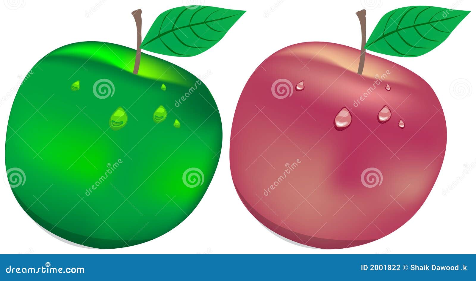 Red and green apples stock vector. Illustration of snow 2001822