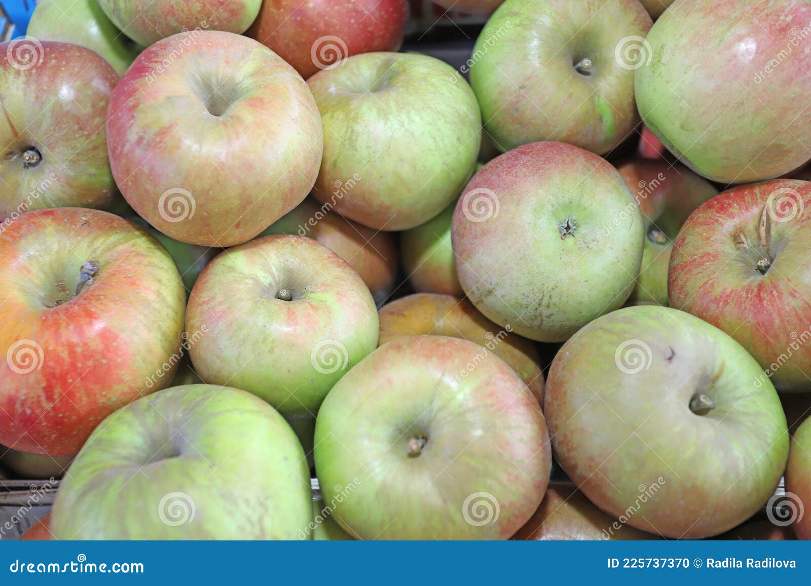 red green apples as background texture. selective focus