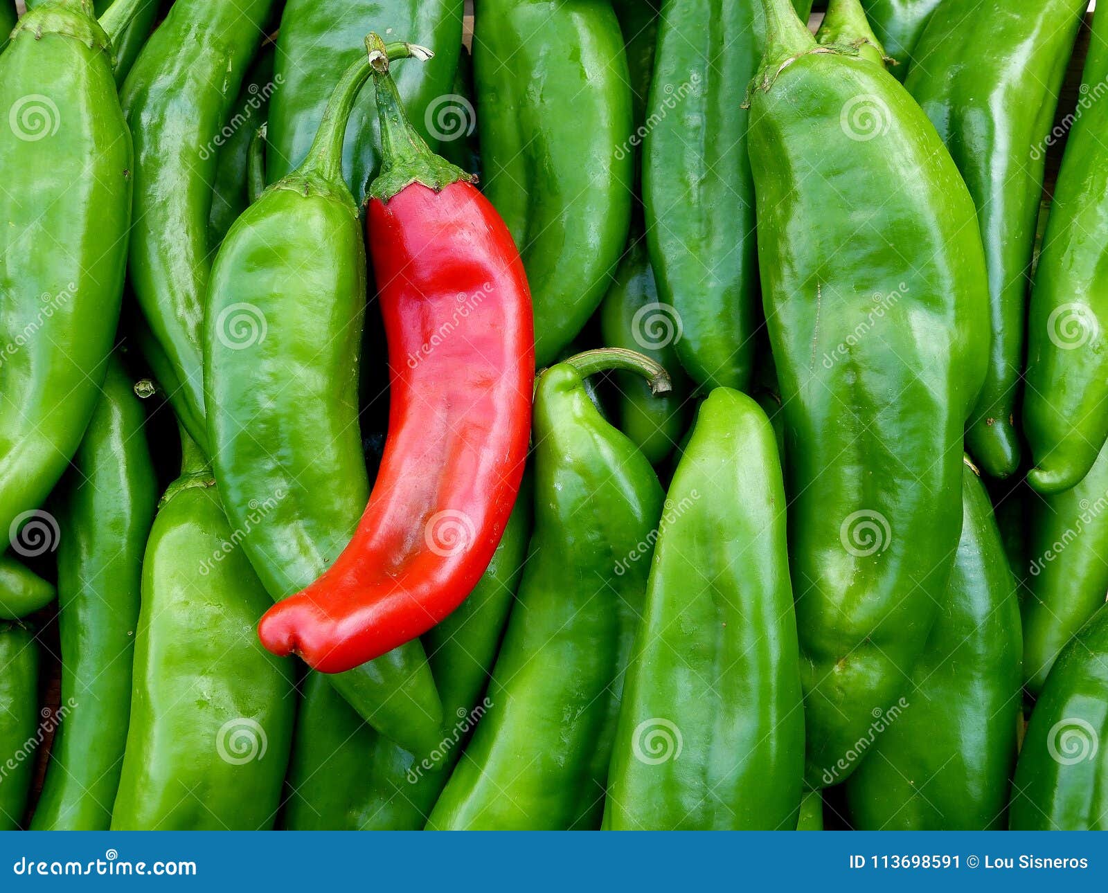 red and green chile from new mexico