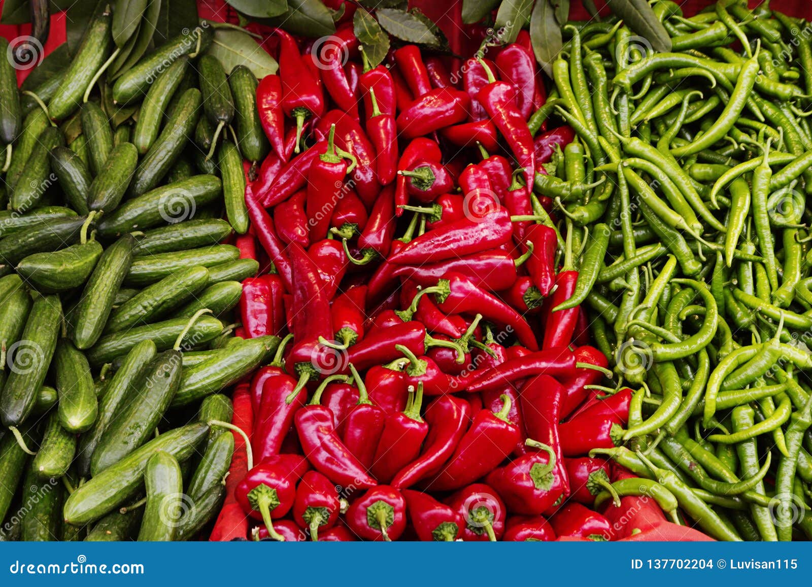 The Red and Green Chili Background Texture Stock Photo Image of