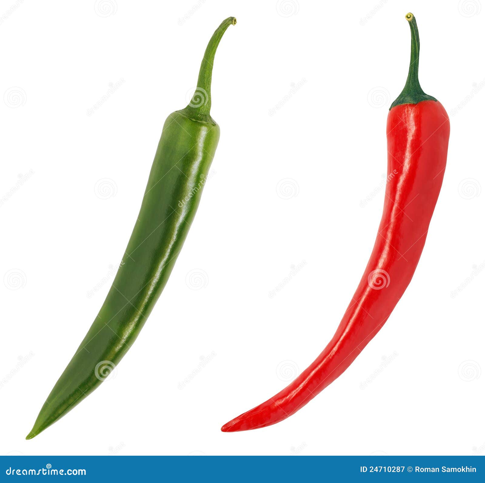 Red and green chili pepper stock image. Image of isolated 24710287