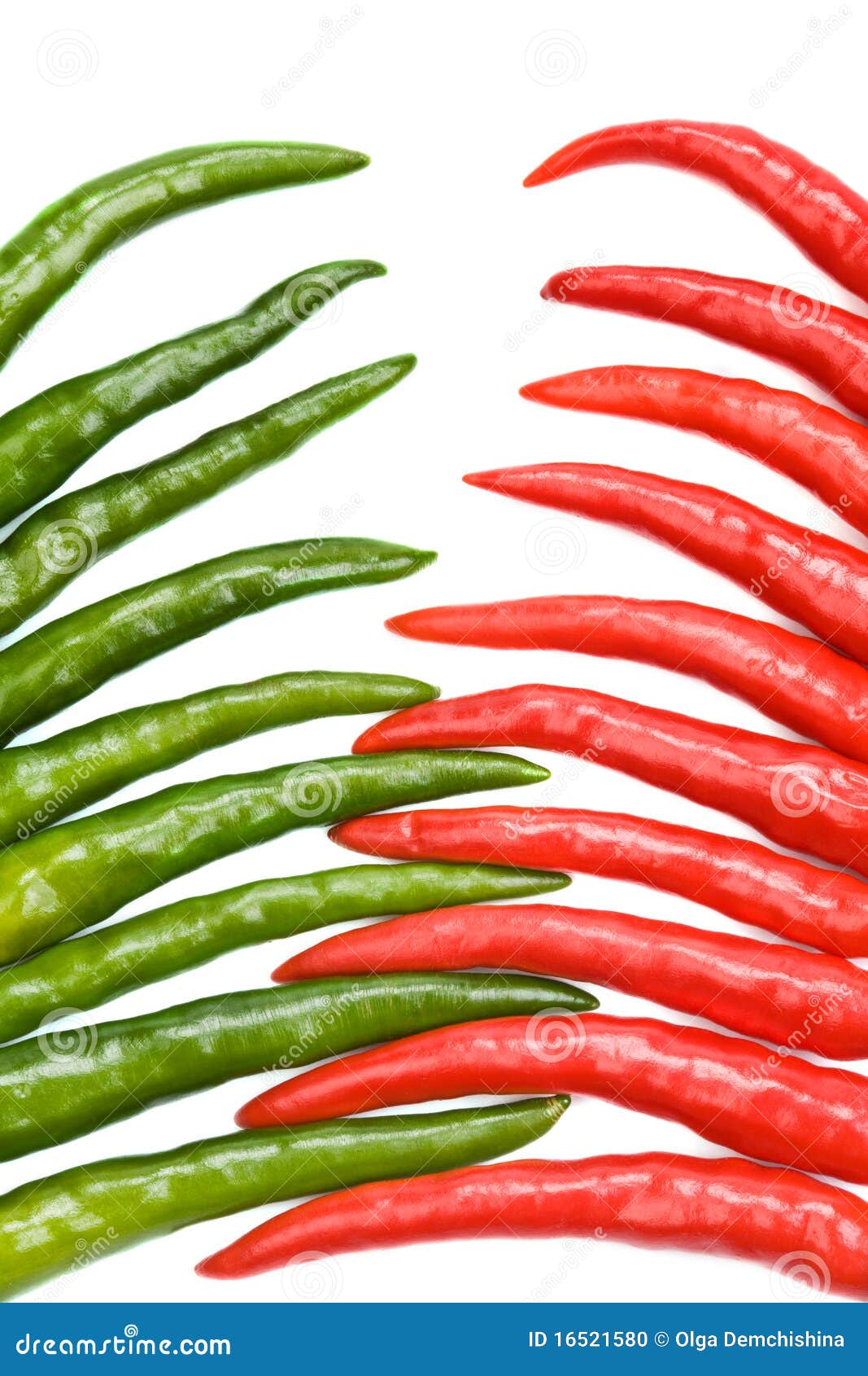 Red and green chilli stock photo. Image of vivid, spicy 16521580