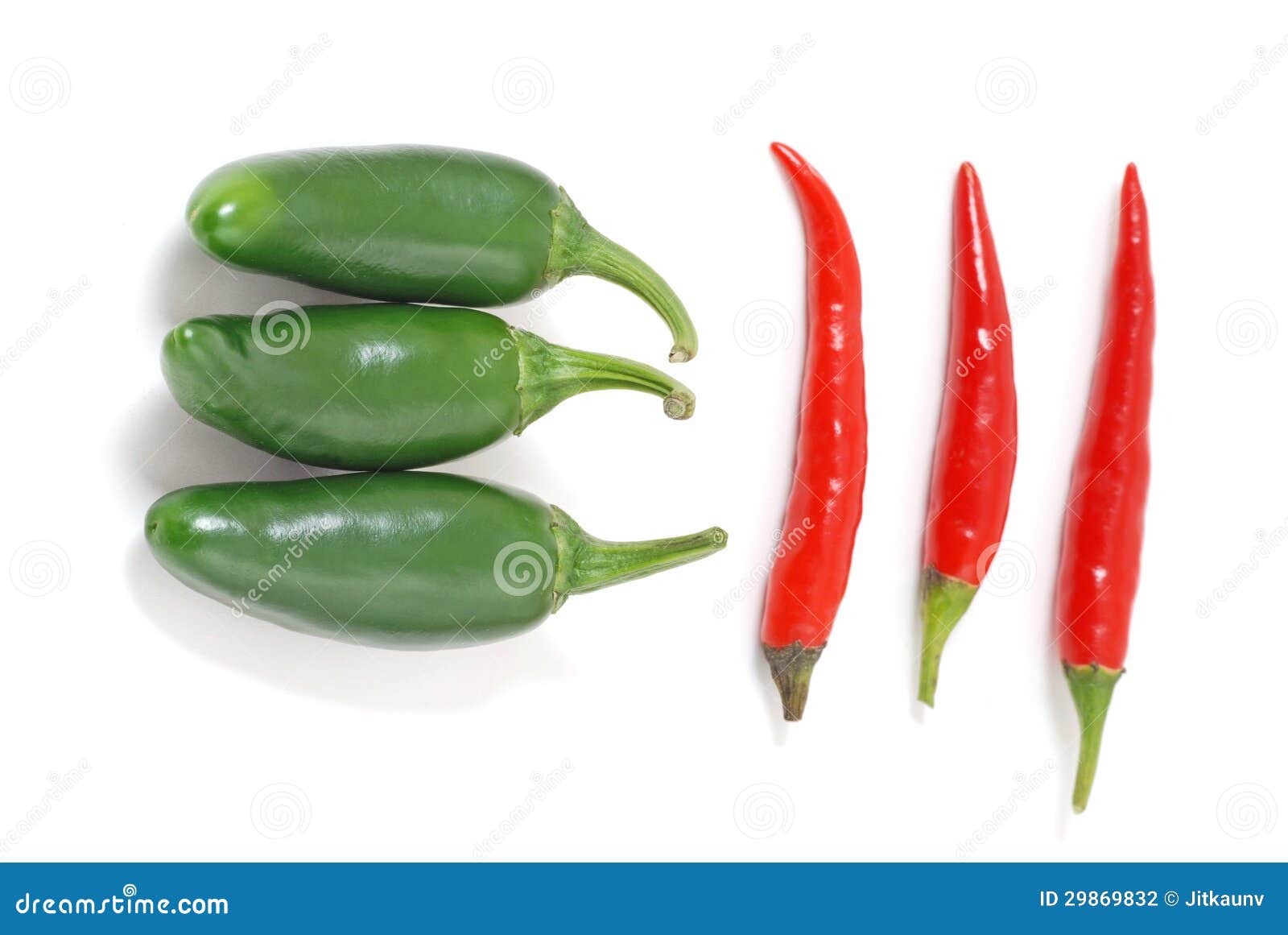 Red and green chilli stock photo. Image of body, studio 29869832