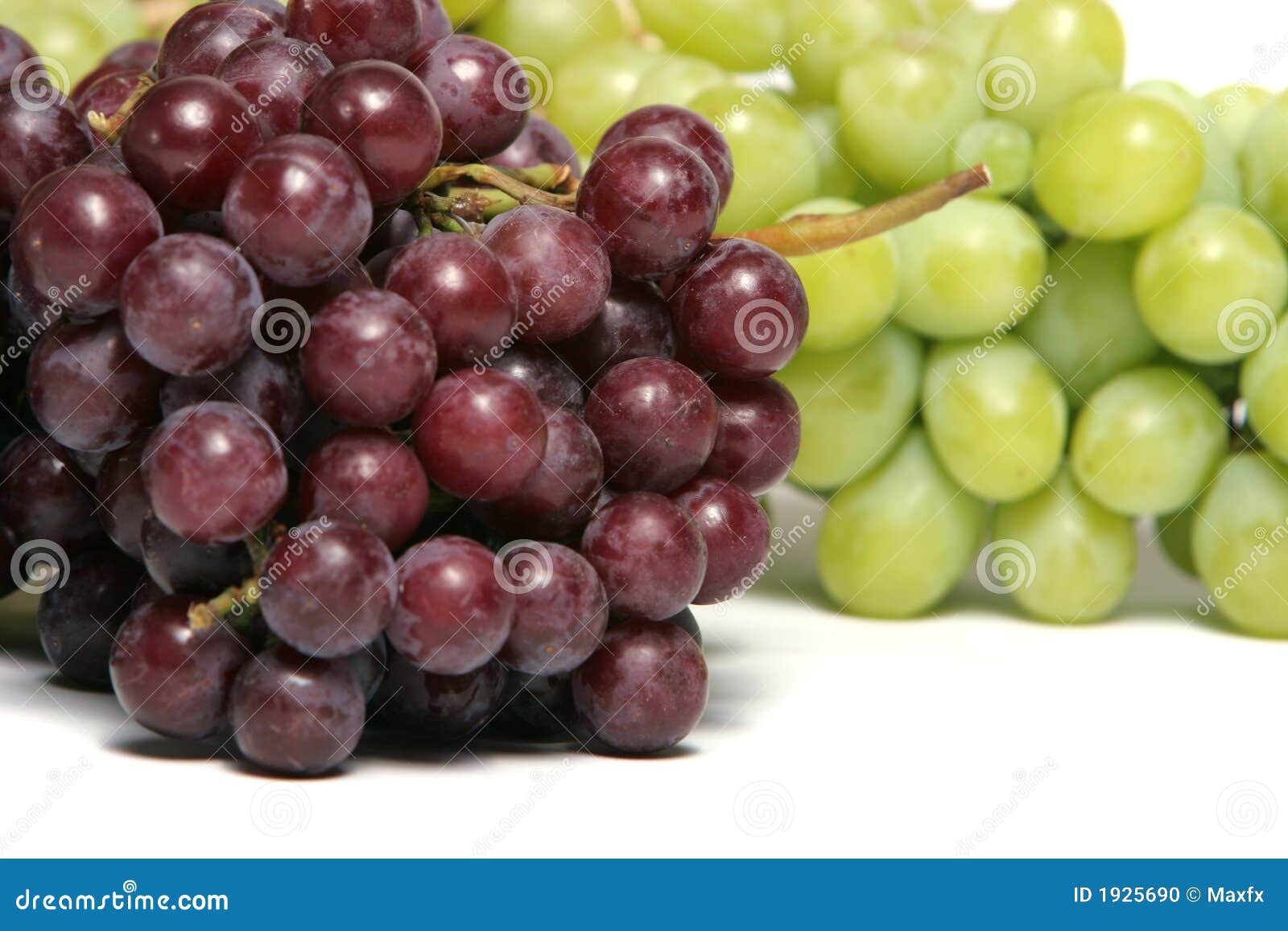 Red and green grapes stock photo. Image of sauvignon, white 1925690