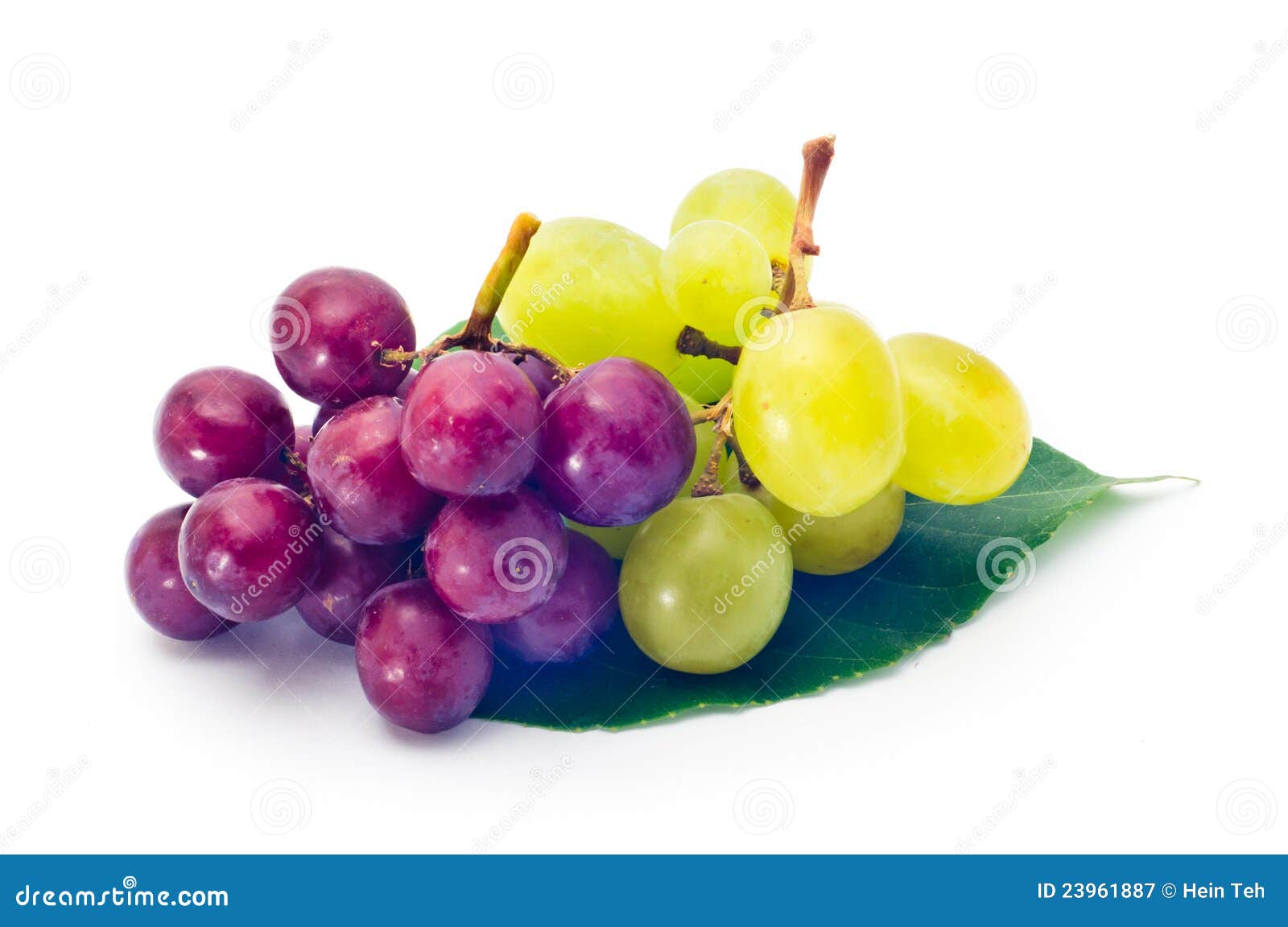 Red and green grapes stock image. Image of drop, cluster 23961887