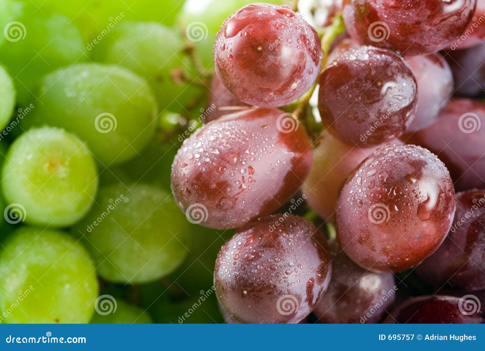 Red and Green Grapes stock image. Image of vine, beaujolais 695757