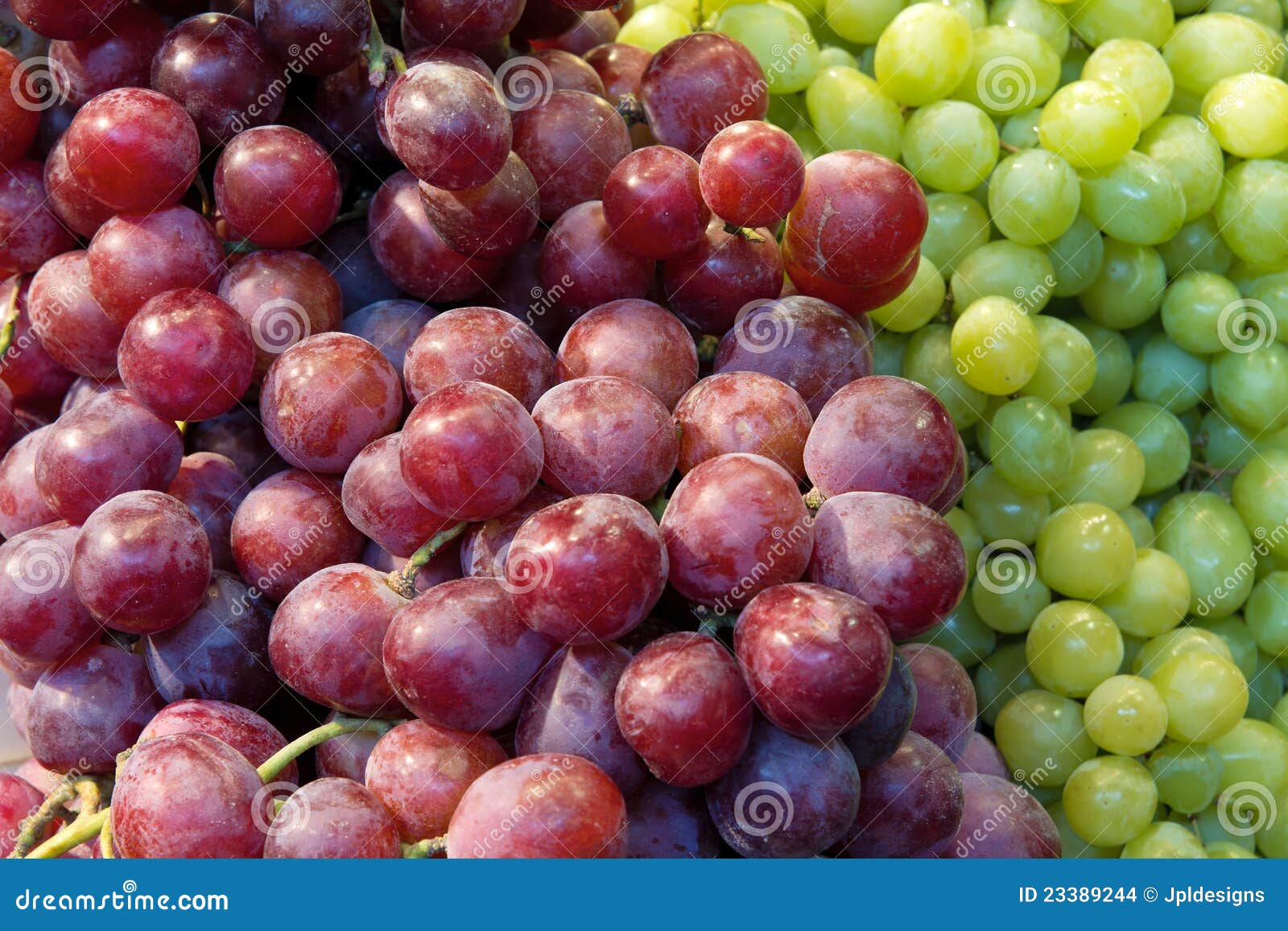 Red and Green Grapes Closeup Stock Photo Image of vines, fruits 23389244