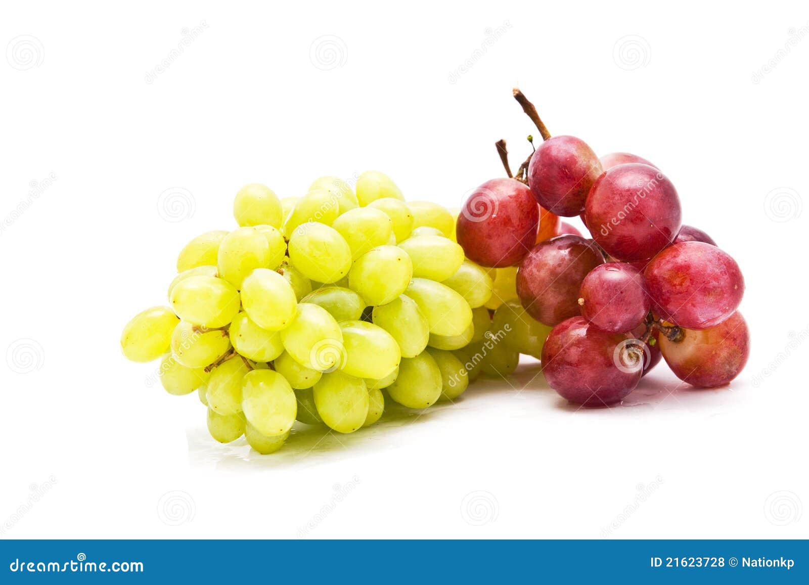 Red and Green Grapes Isolated Stock Photo Image of branch, grapevine 21623728