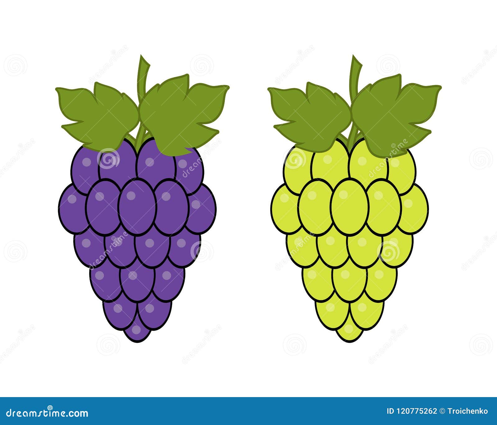 Red and Green Grapes on White Background, Grape Types Set. Logo Design,  Vector Illustration. Wine Vector Logo Art. Stock Vector - Illustration of  label, alcohol: 120775262
