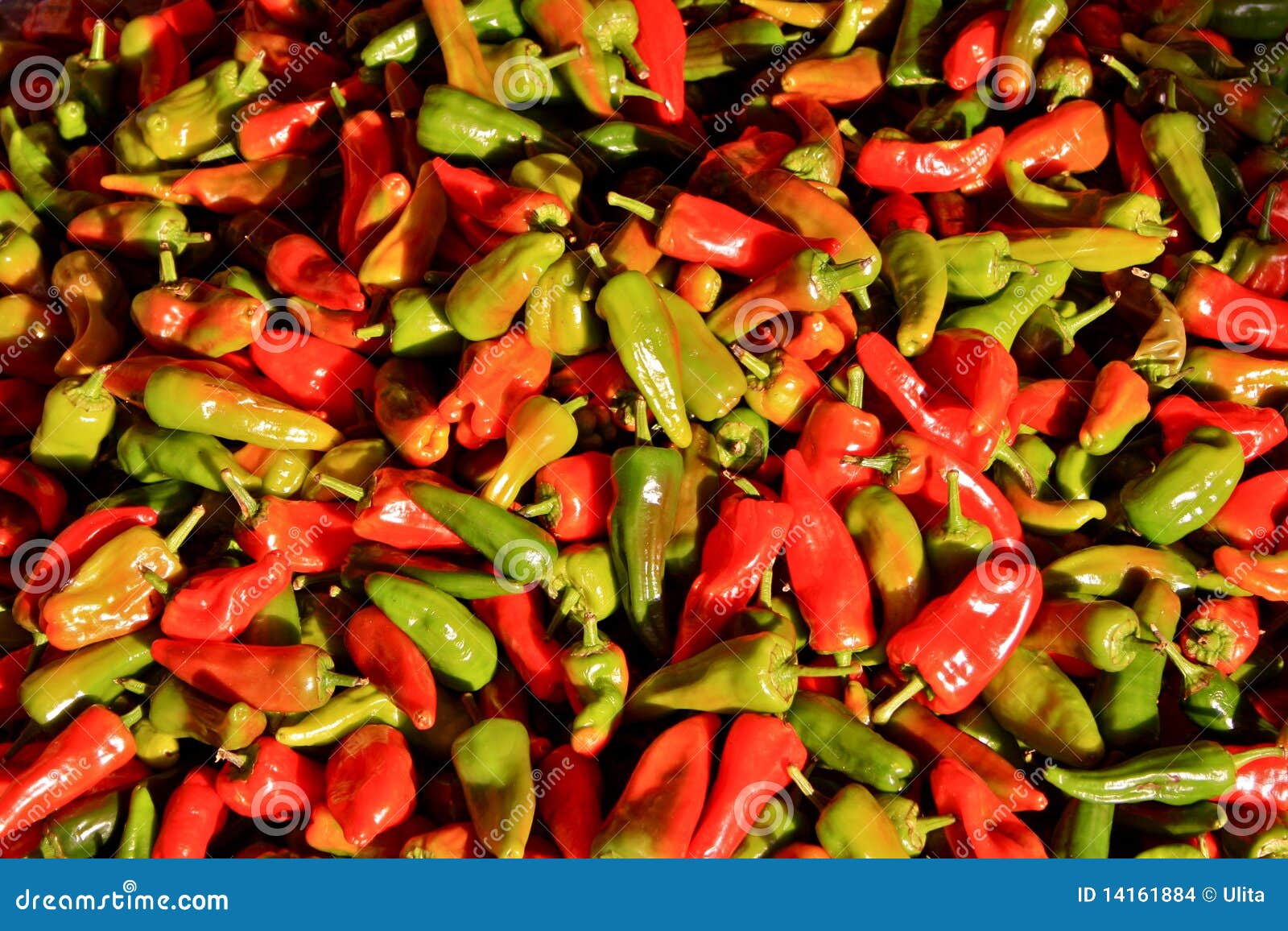 Red and Green Hot Peppers stock photo. Image of tasty 14161884