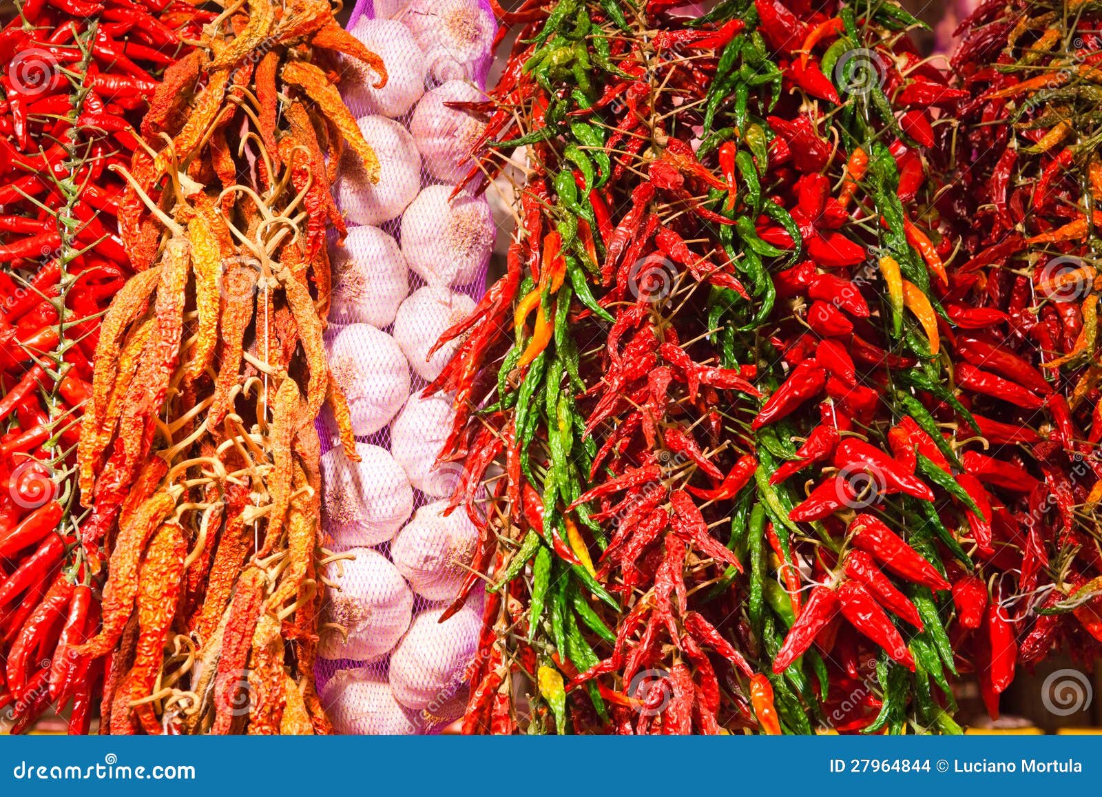 Red and Green Hot Peppers Background Stock Photo Image of chili