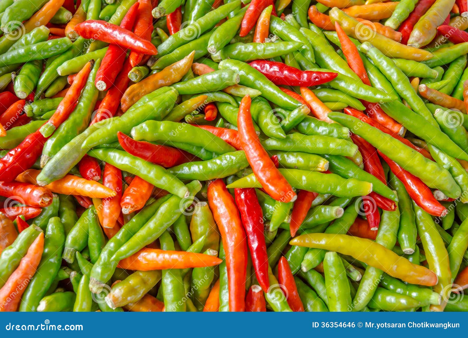 Red and green hot peppers stock photo. Image of harvest 36354646