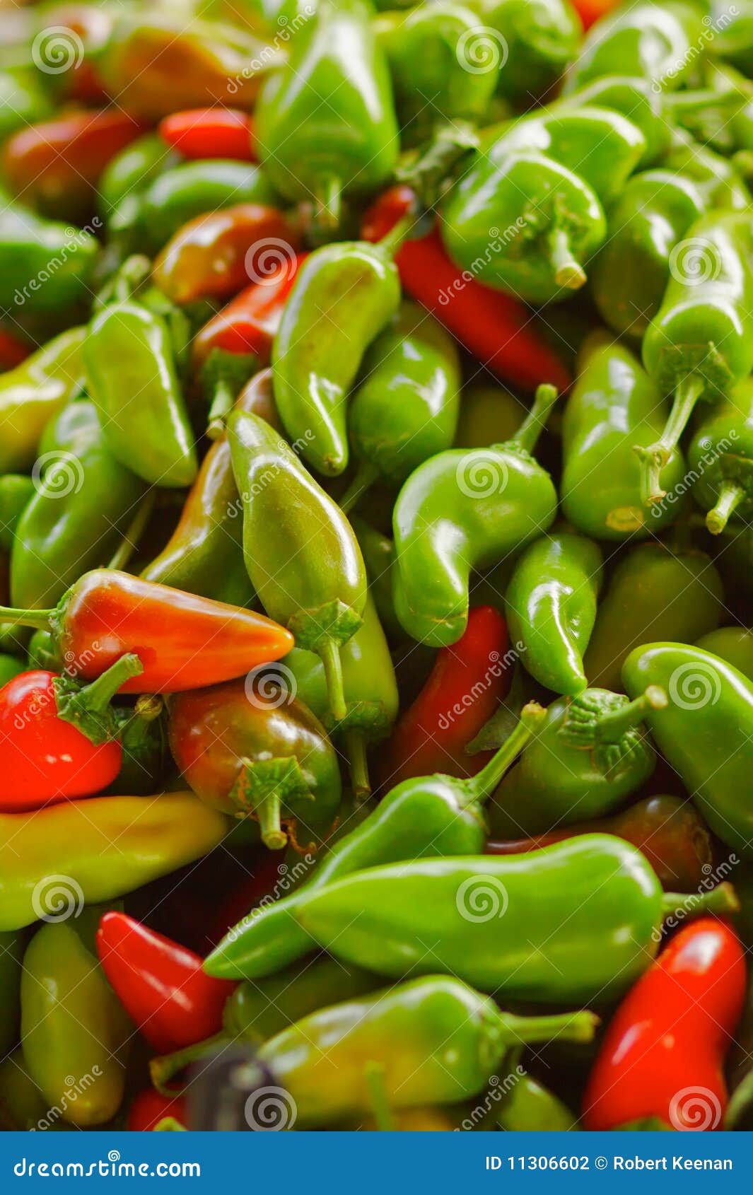 Red and Green Jalapeno Peppers Stock Photo Image of cayenne, heat