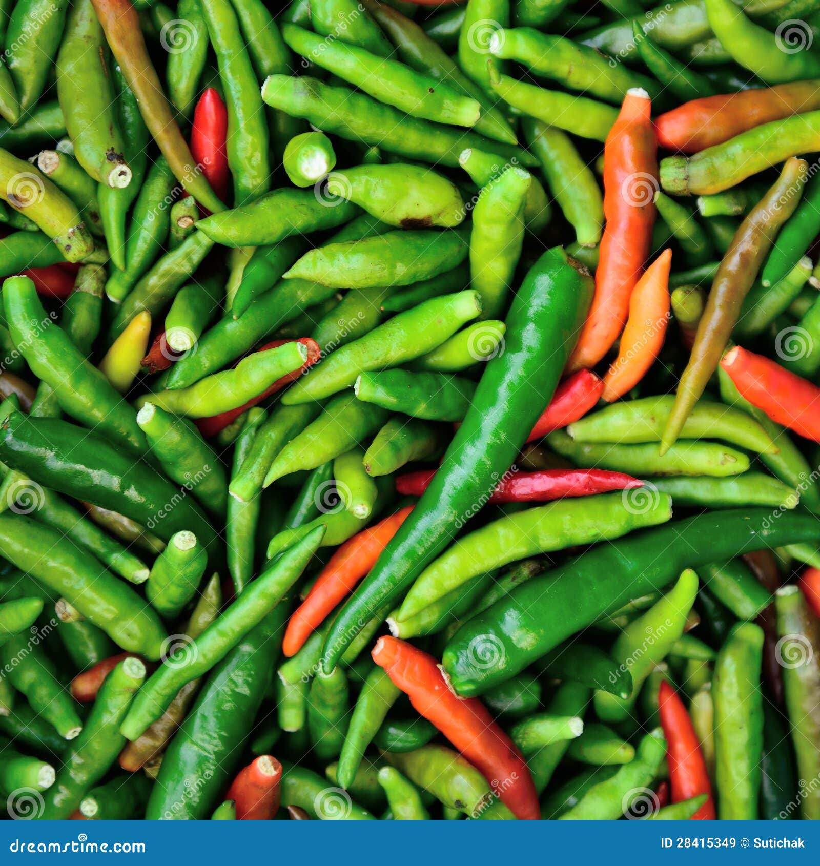 Red and Green Peppers stock image. Image of ripe, closeup 28415349