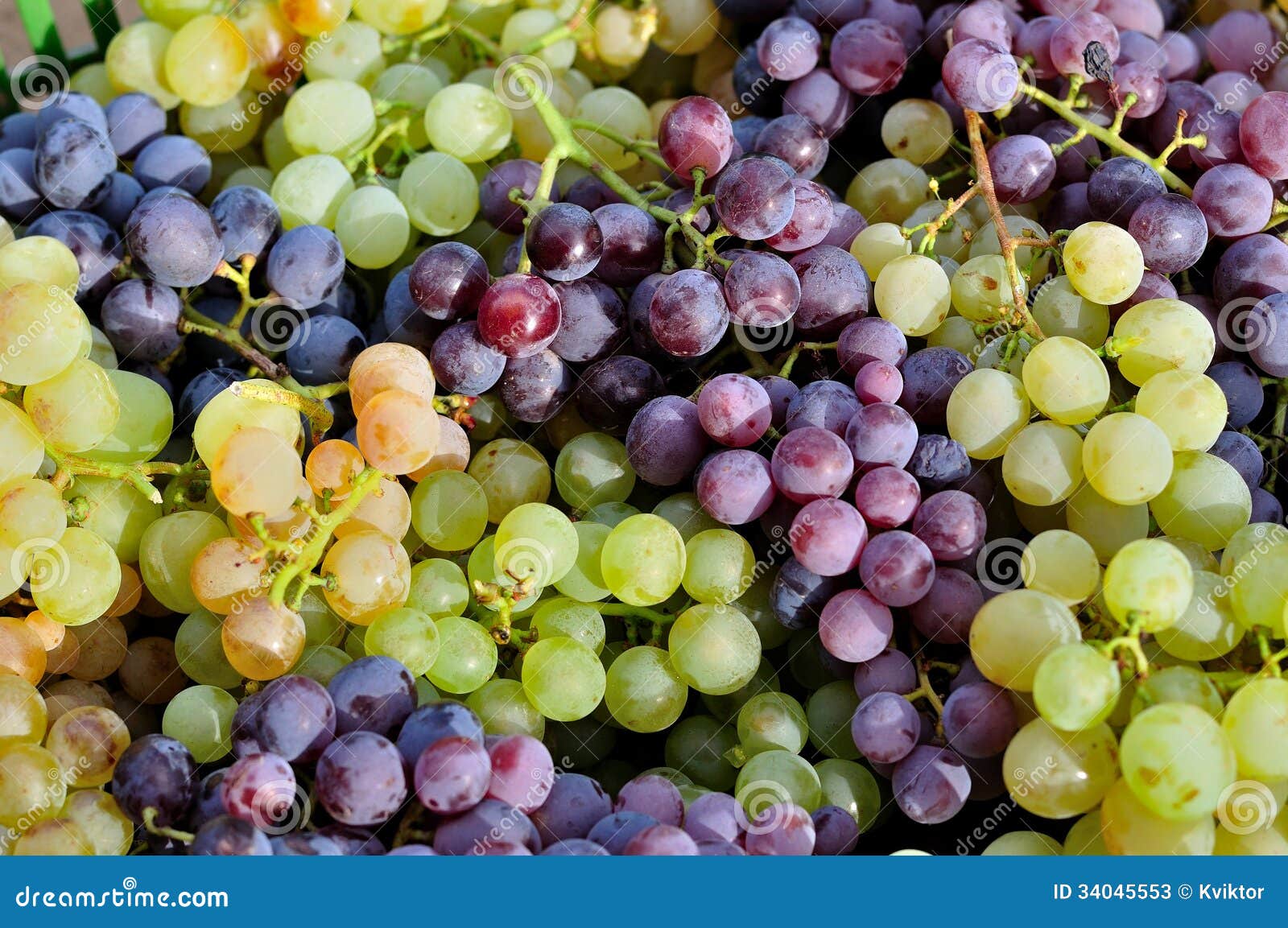 Red And Green Vine Grapes Texture Stock Image Image of delicious