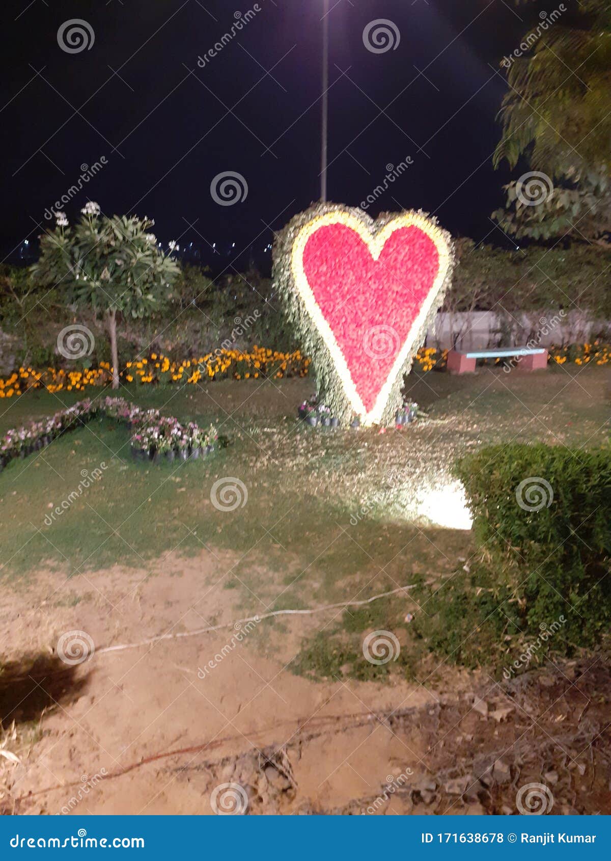 Red and Green ,white Heart Flowers Stock Photo Image of white, heart