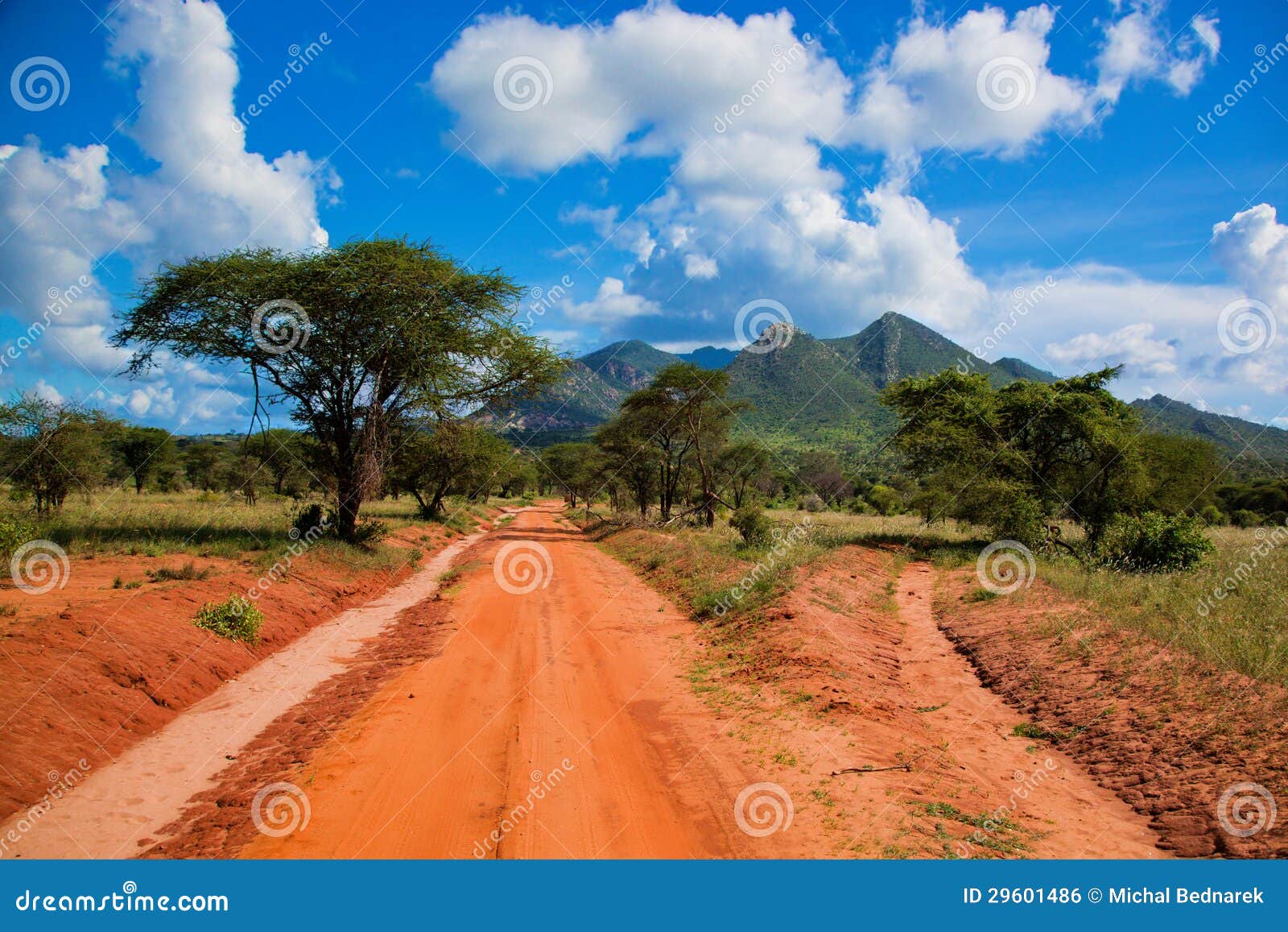 red ground road, bush with savanna. tsavo west, kenya, africa