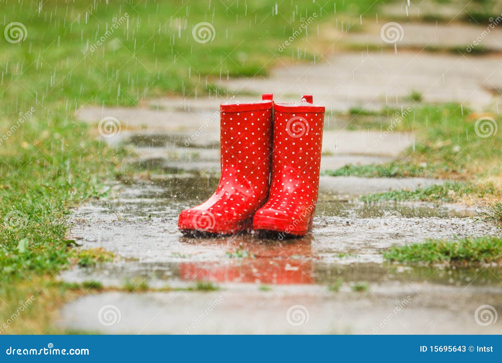 gum boots for rain