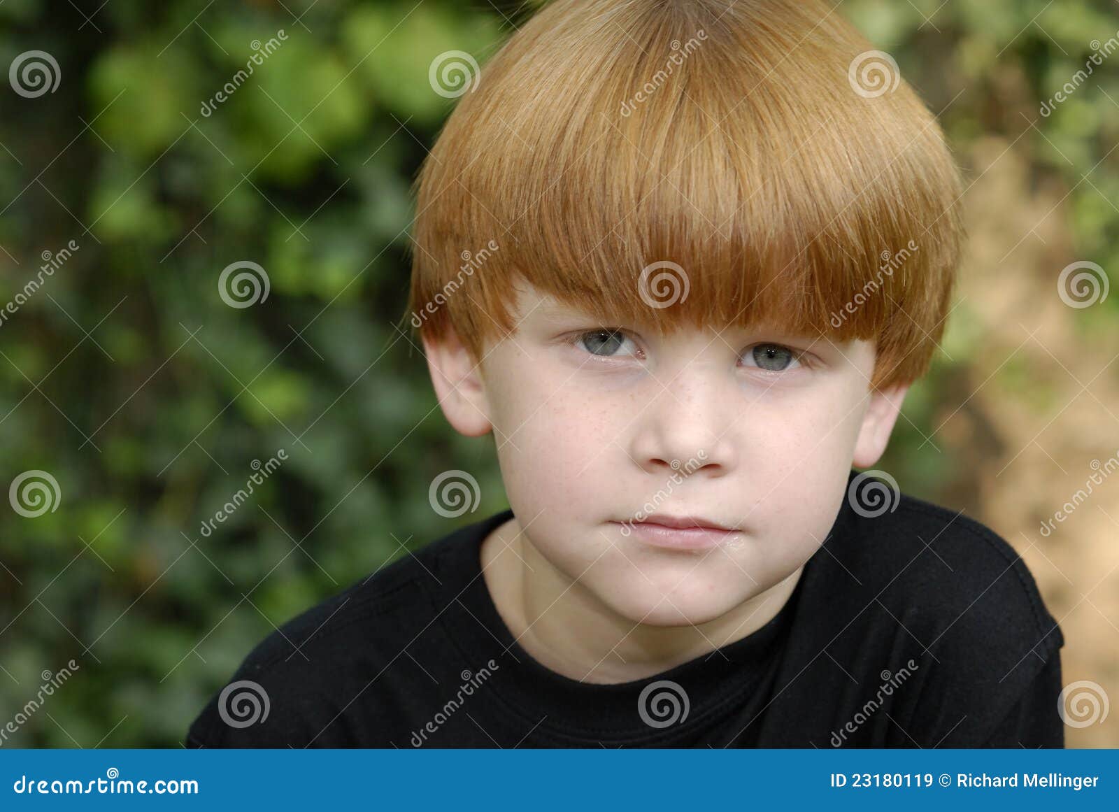 Red Hair Boy Portrait Stock Image Image Of Face Nature 23180119