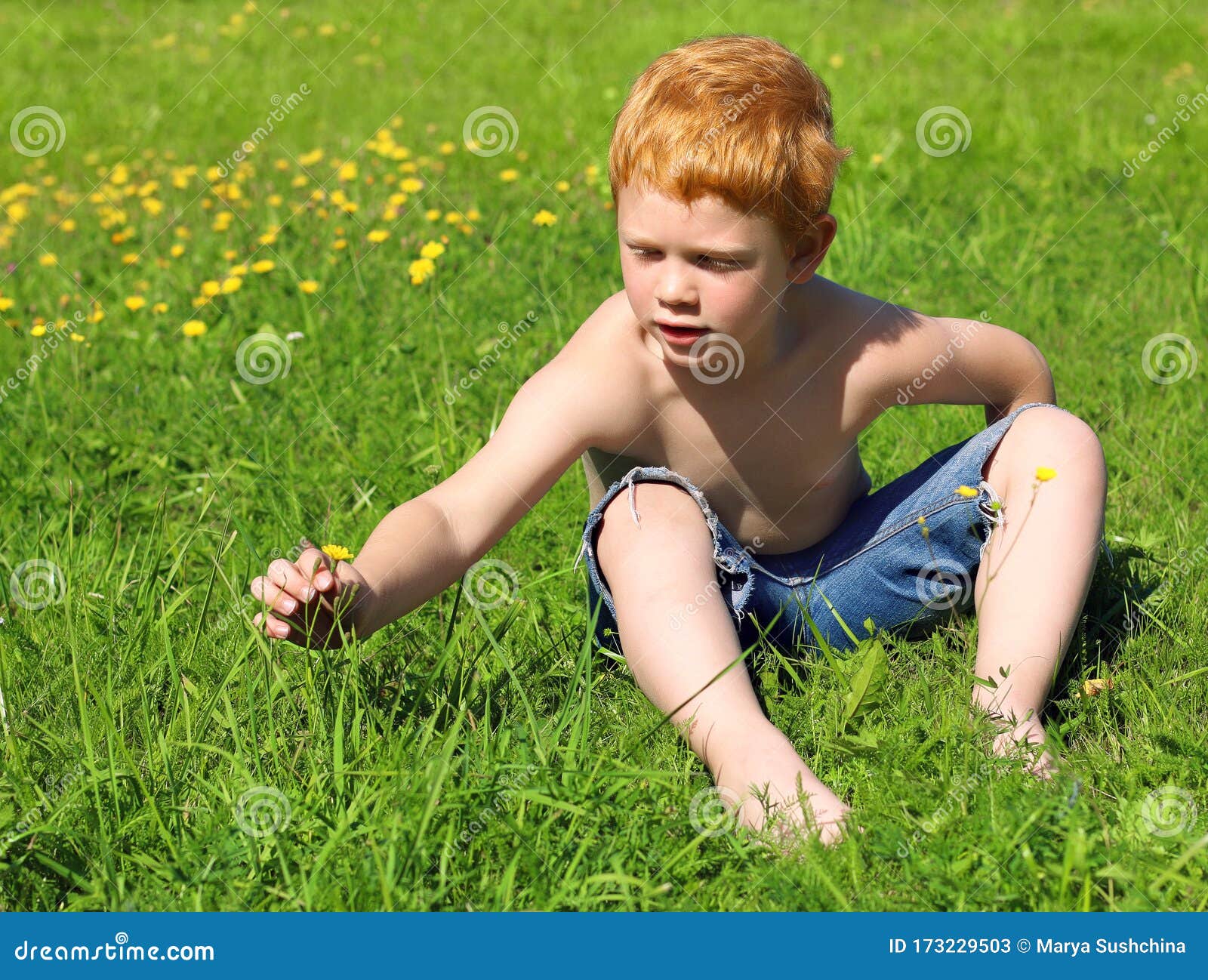 Red Hair Little Boy Examines a Yellow Flower. Happy Kid without a T ...