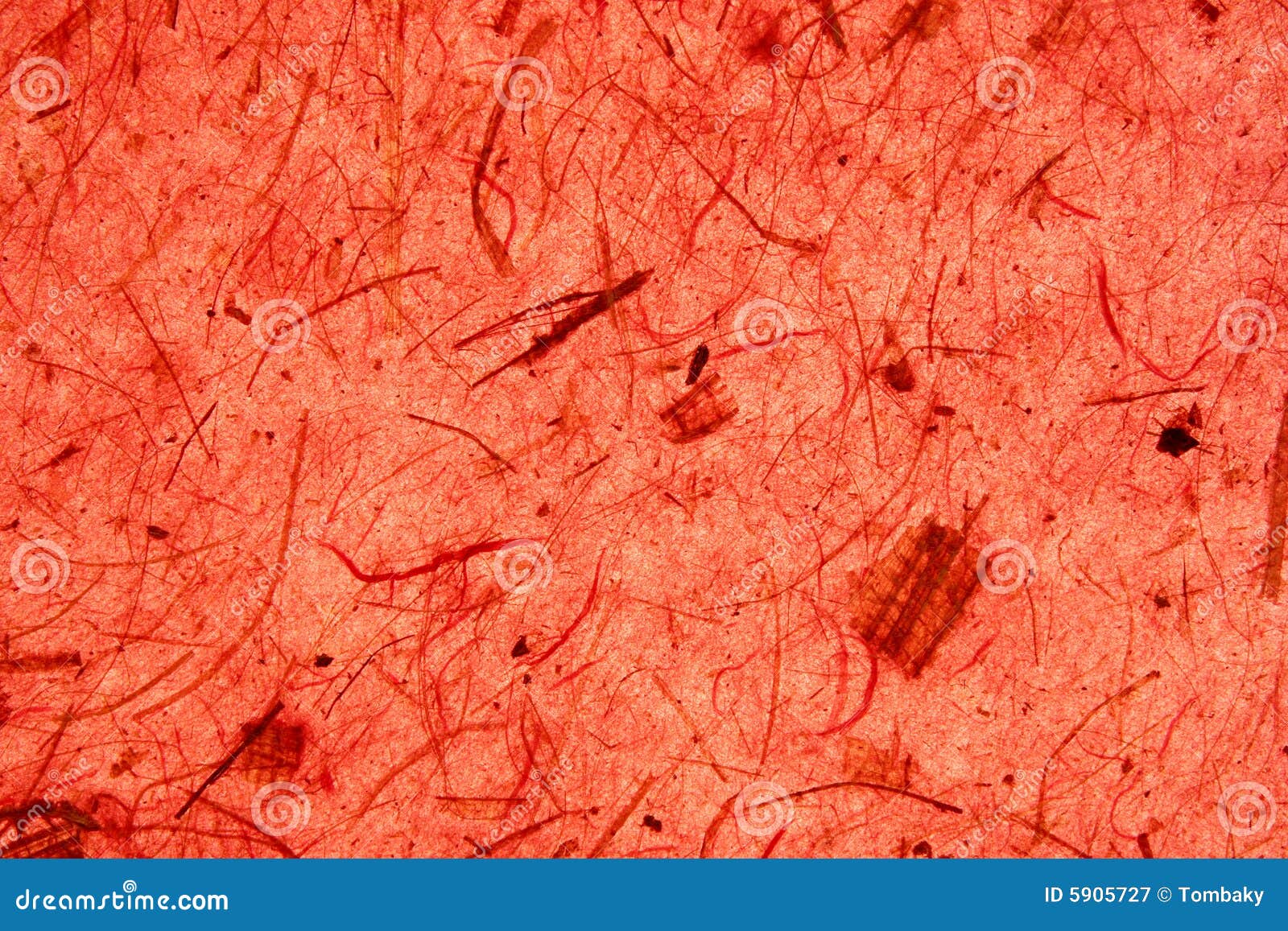Crumpled Red Paper Texture Picture, Free Photograph