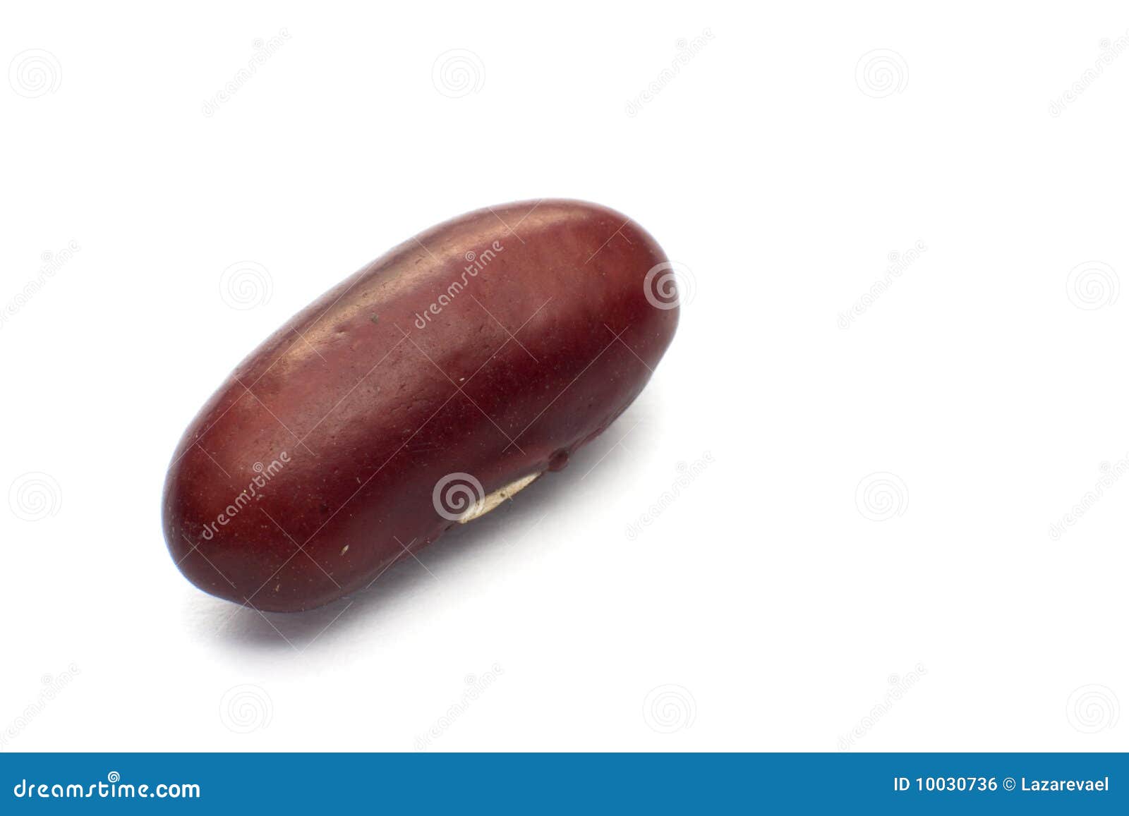 Red haricot bean isolated