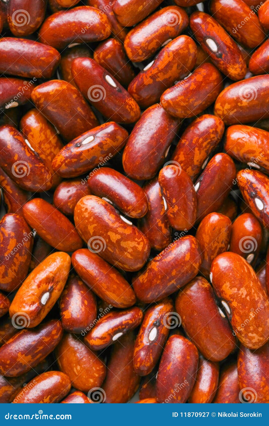 Red haricot beans stock image. Image of cooking, small 11870927