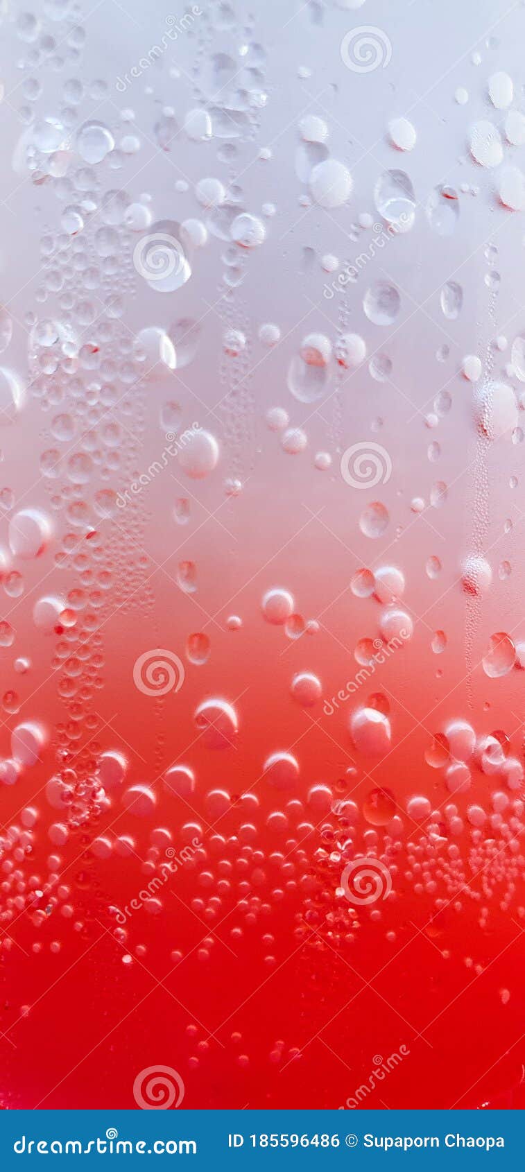 Soda Photos Download The BEST Free Soda Stock Photos  HD Images
