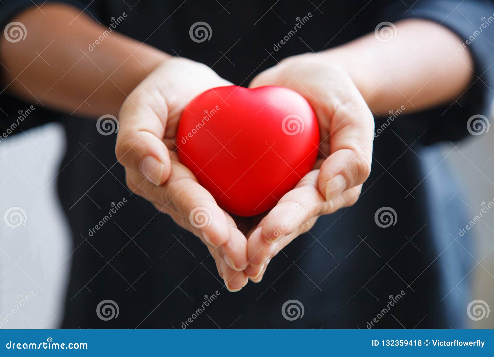red heart held by female`s both hands, represent helping hands, caring, love, sympathy, condolence, customer relationship, patient