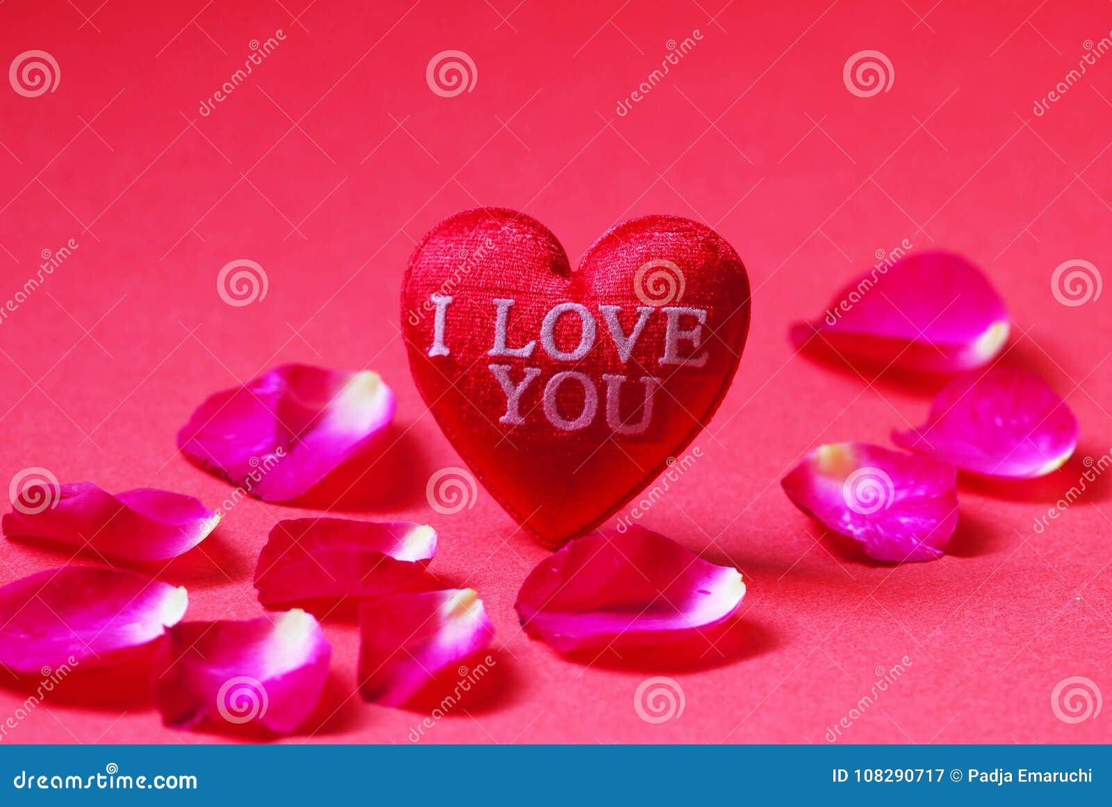 A Red Heart Shaped with I Love You and Rose Petals on Red ...