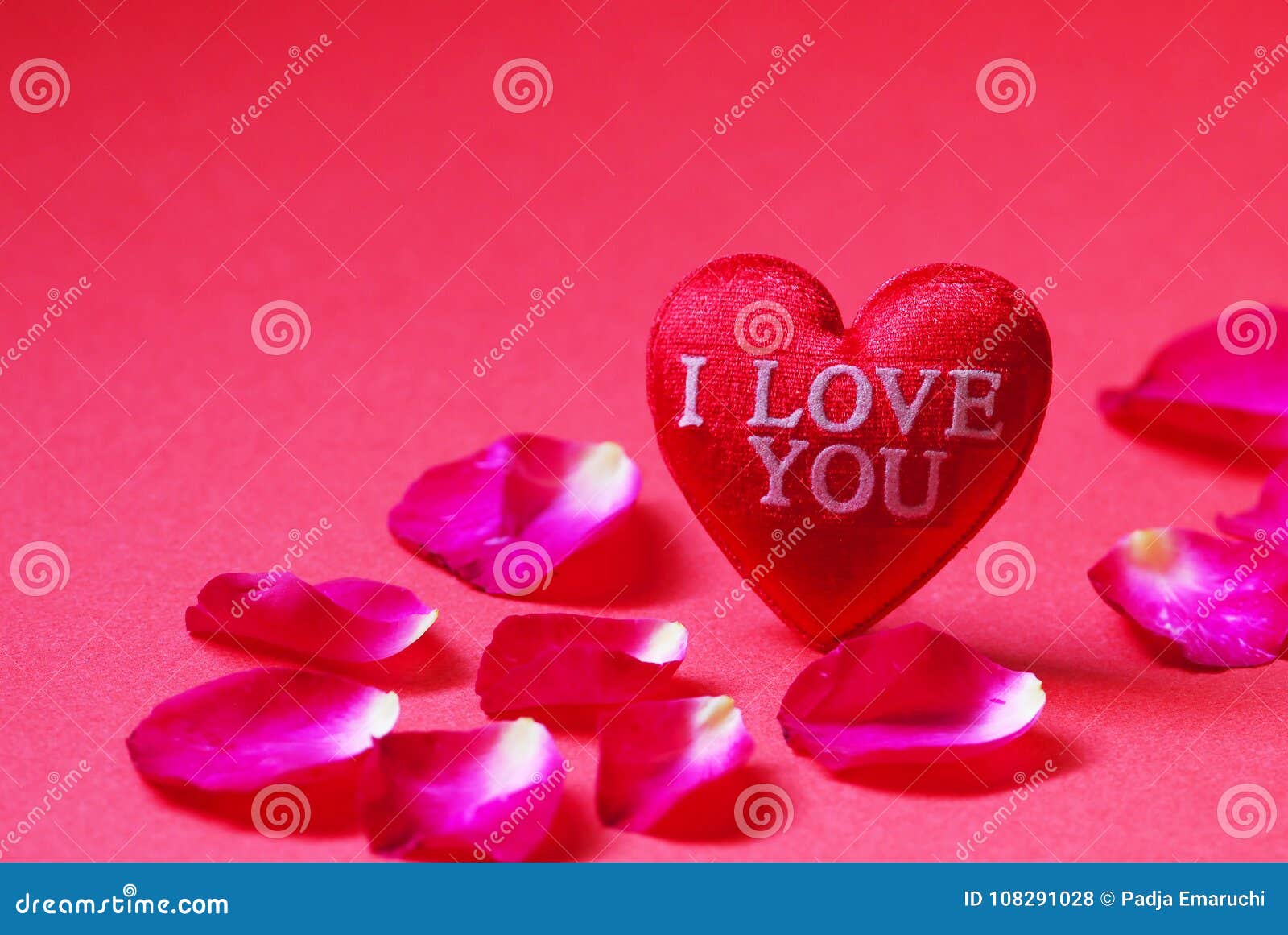 A Red Heart Shaped with I Love You and Rose Petals on Red ...