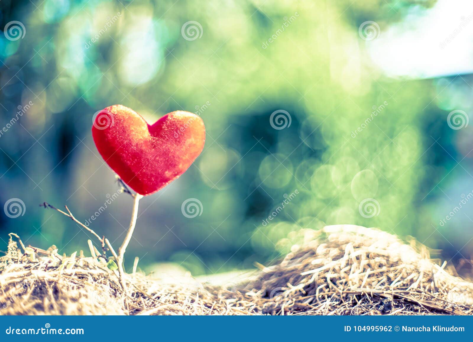 Red heart tree stock photo. Image of flower, greeting 104995962