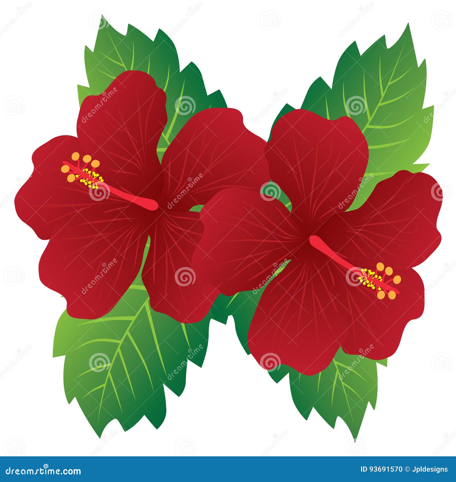 Bunga Raya Stock Illustrations 30 Bunga Raya Stock Illustrations Vectors Clipart Dreamstime