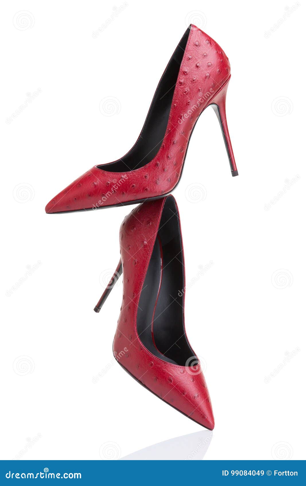 Brinna Black · Cq Couture · Charlotte Luxury High Heels Shoes