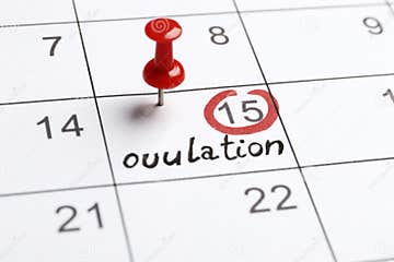 Red Highlighter With Ovulation Day Mark On Calendar Stock Photo Image Red Highlighter With Ovulation Day Mark On Calendar Stock Photo Image