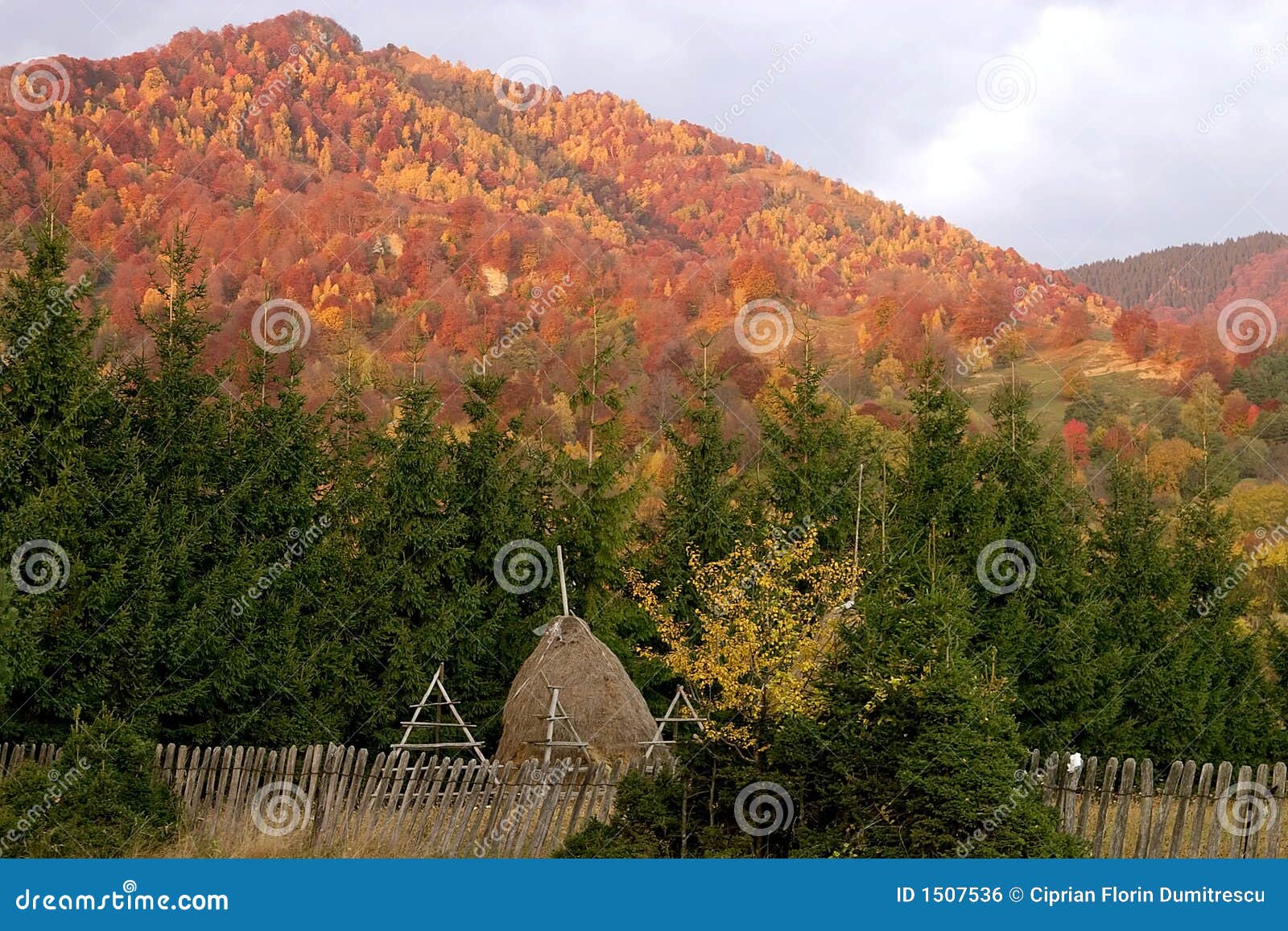 Red hill landscape stock photo. Image of background, leafs 1507536