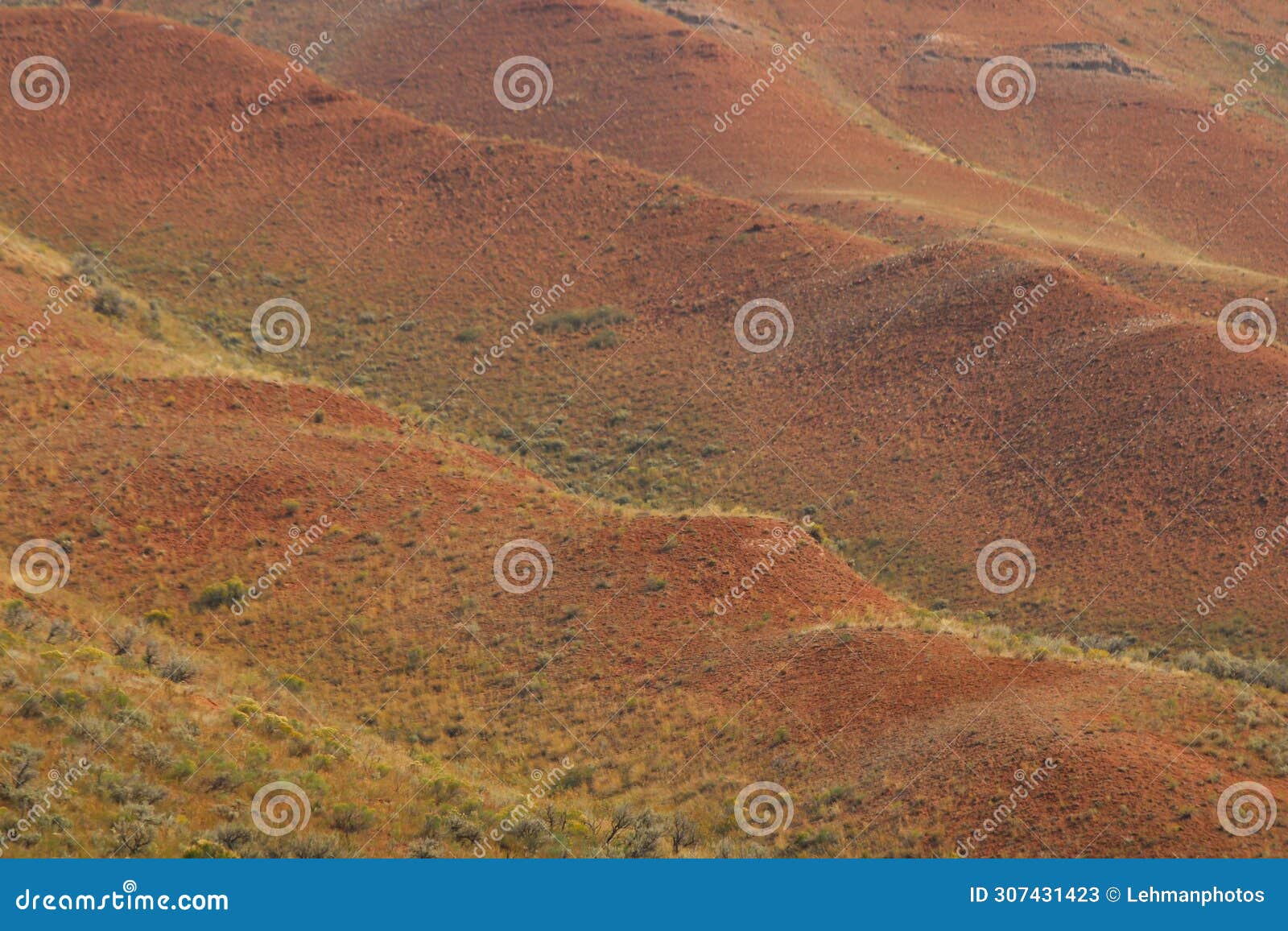 lavender hills gros ventre area bridger teton forest