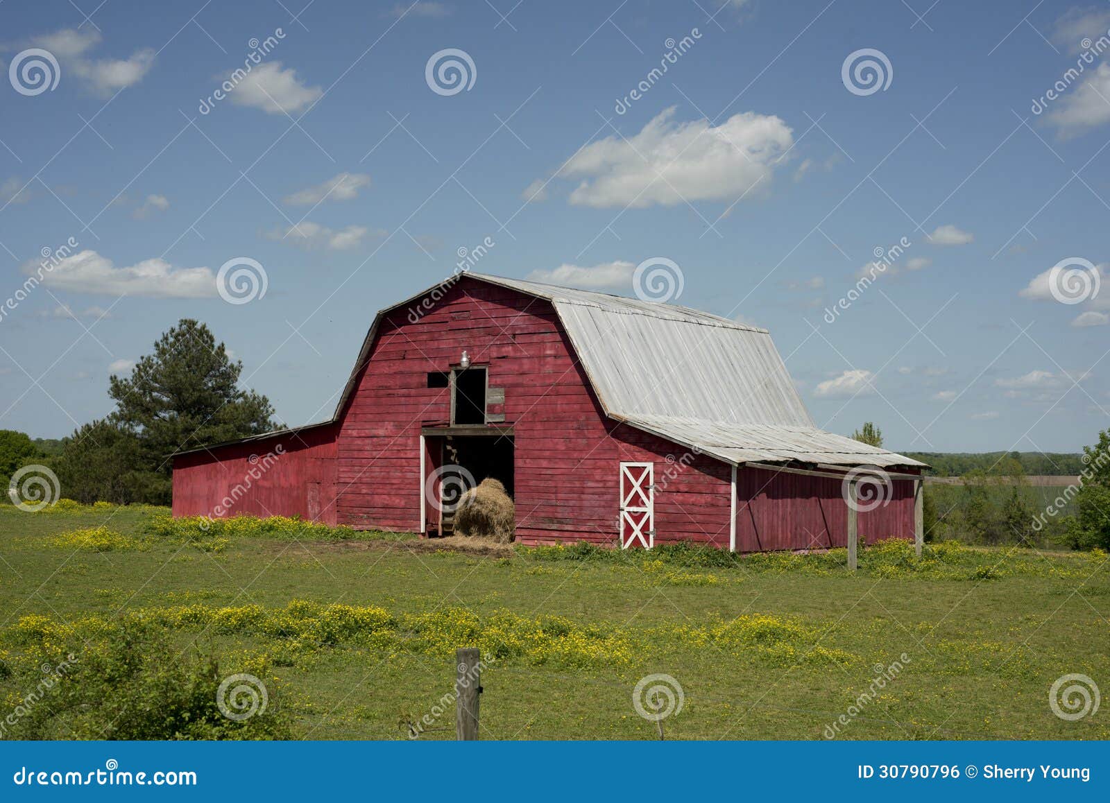 Red Horse Barn stock photo. Image of flower, farmland - 30790796