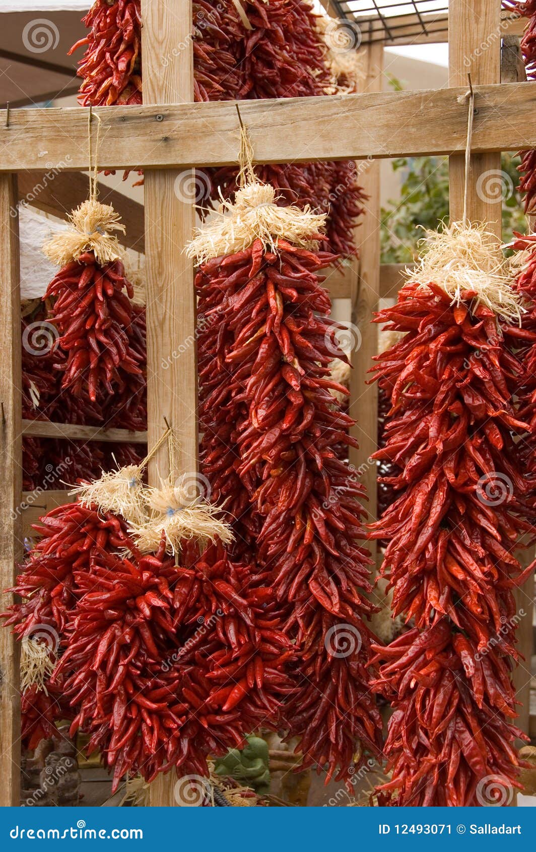 Red Hot Chili Peppers Hanging. Stock Image Image of group, seasoning