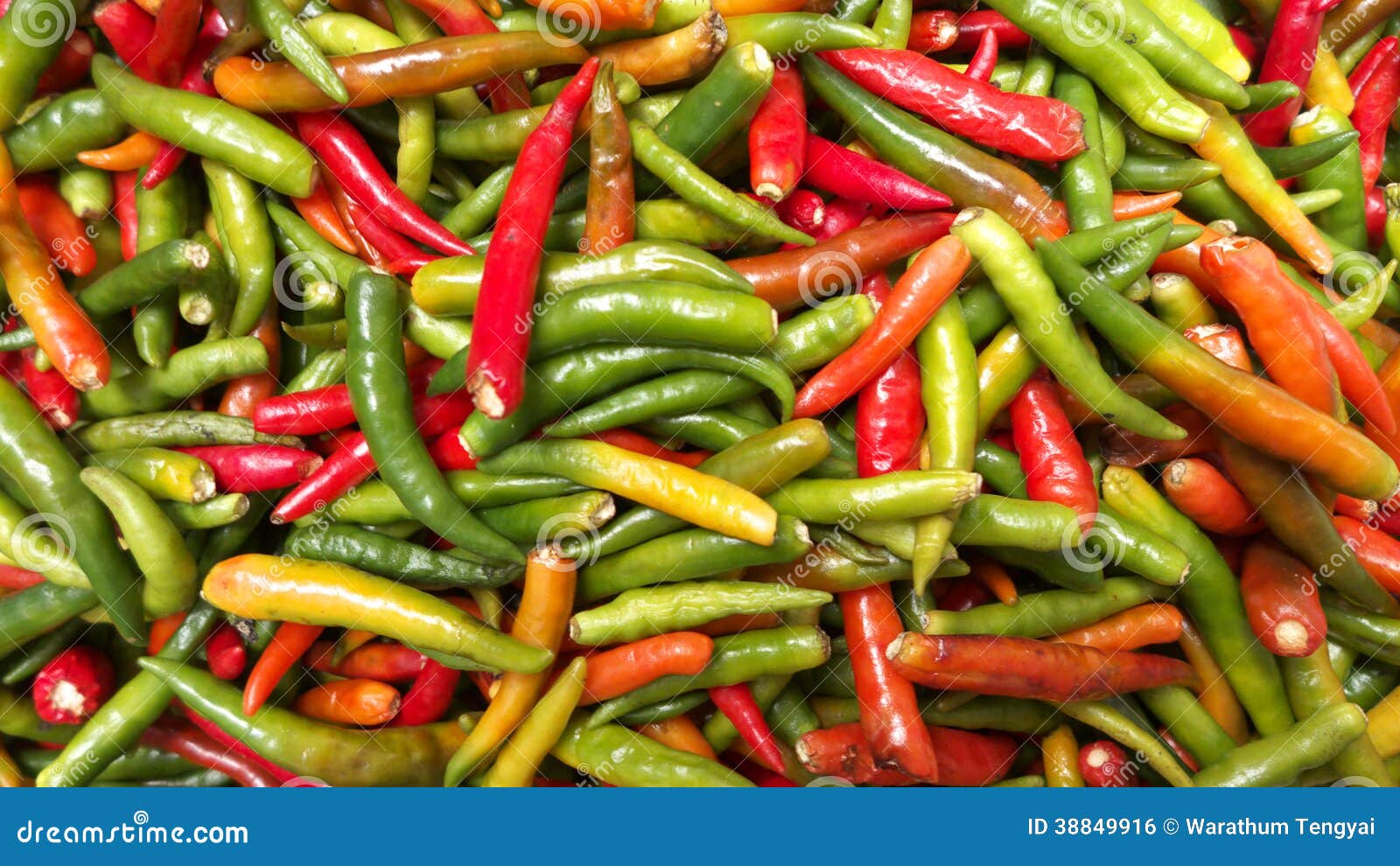 Red hot Chili stock photo. Image of ingredient, lifestyle 38849916