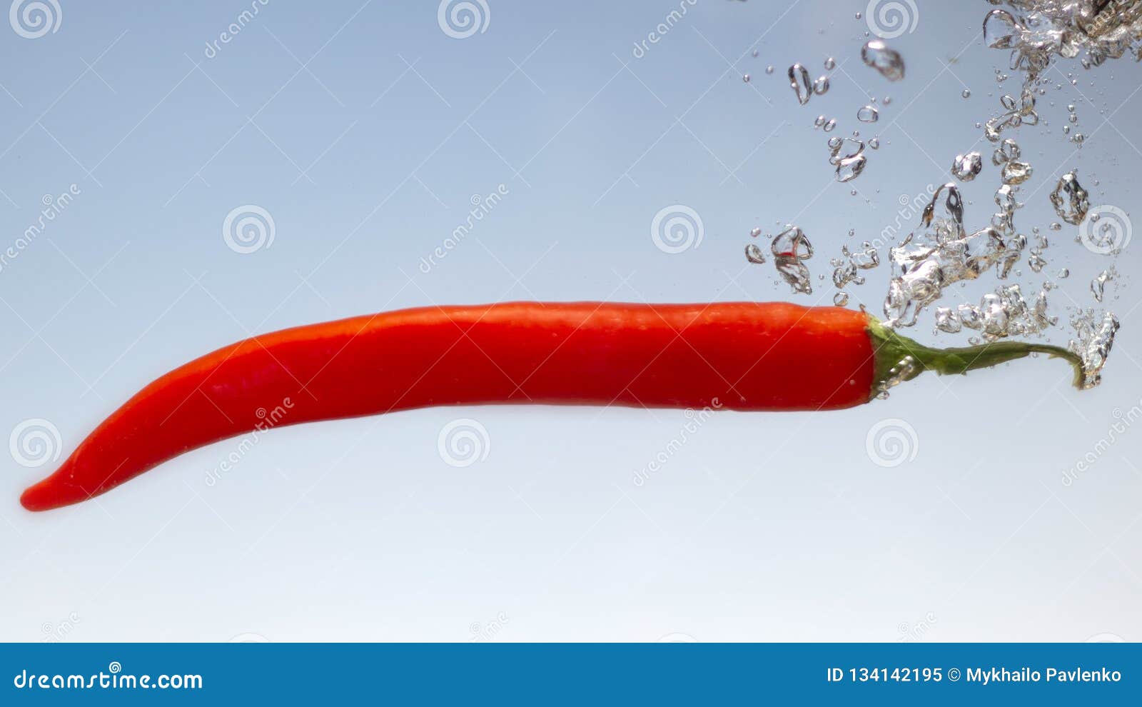 Red Hot Chilli Pepper in Water Splashes on Blue Bacground Stock Image Image of chili, drop