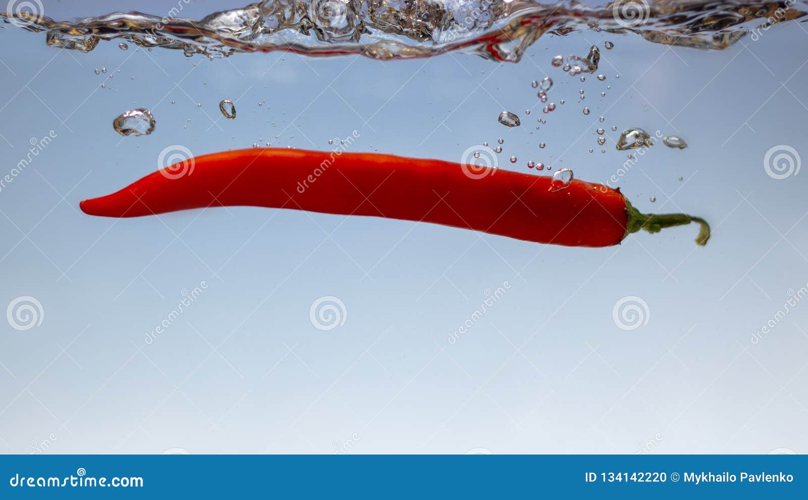 Red Hot Chilli Pepper in Water Splashes on Blue Bacground Stock Photo Image of beverage